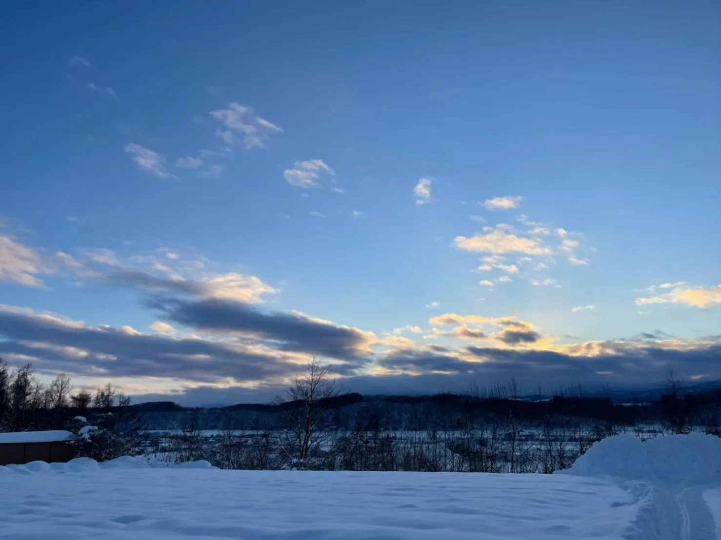Winter in Maple Farm