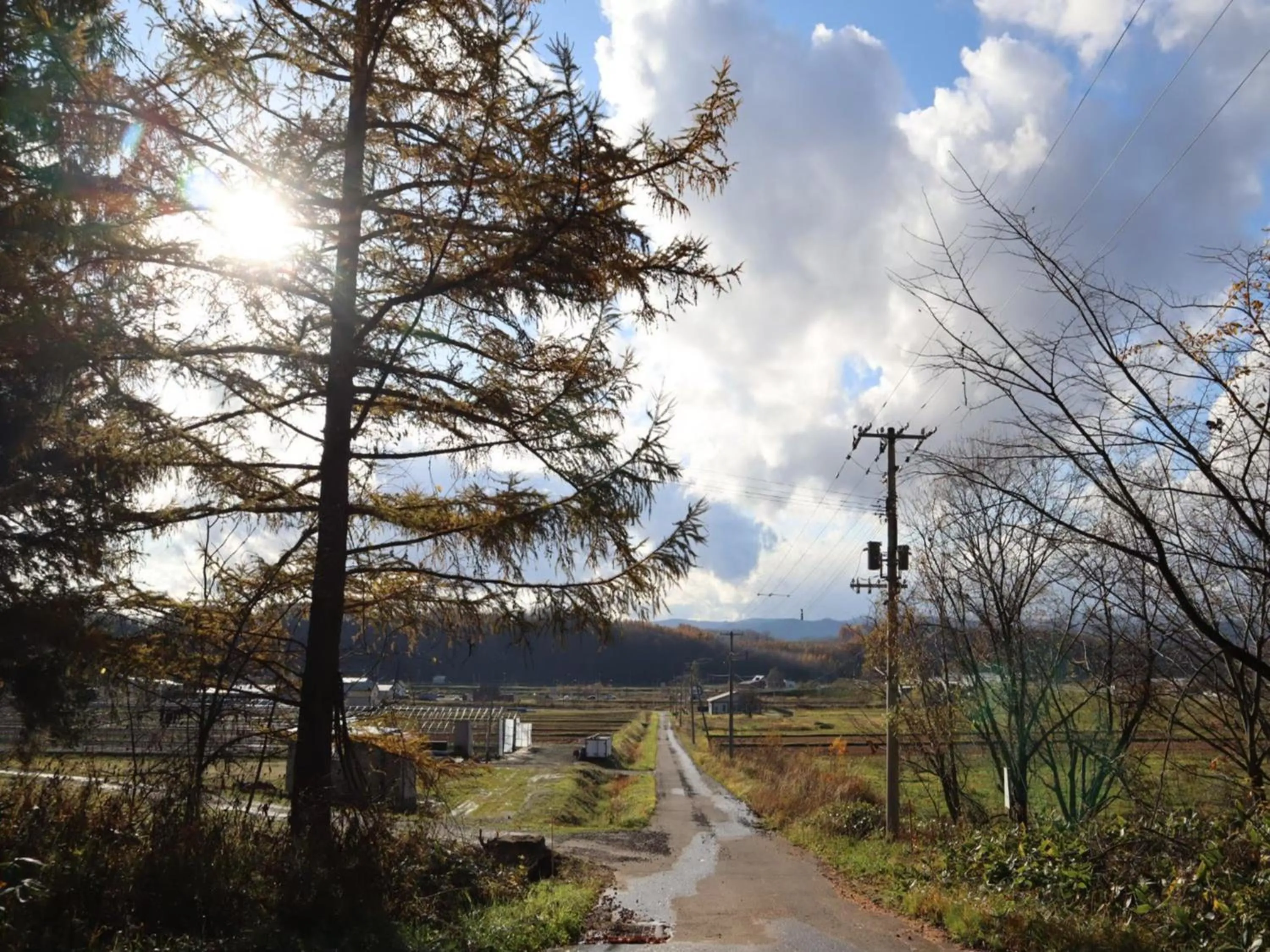 Off site in Maple Farm