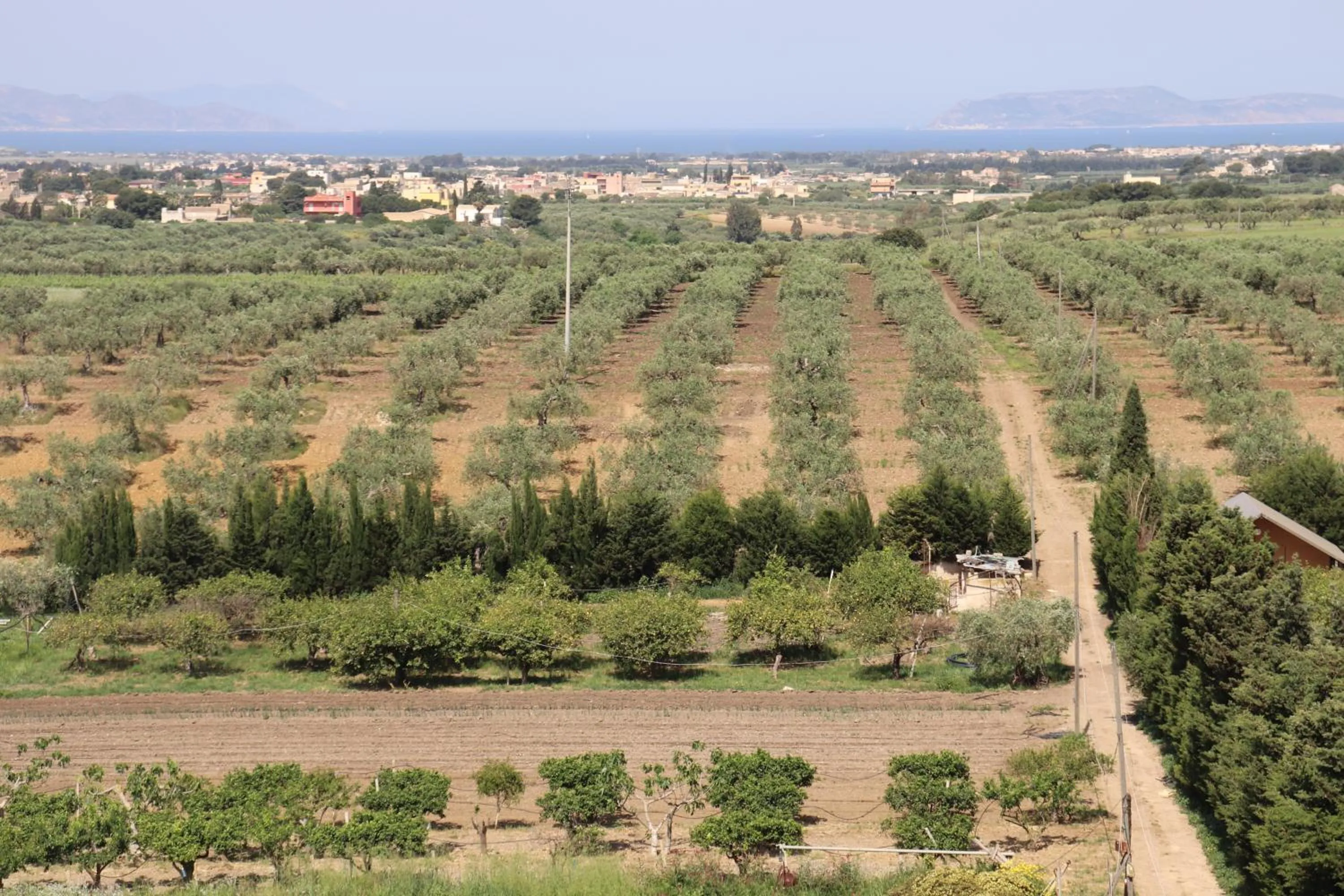 View (from property/room) in Agriturismo Vultaggio