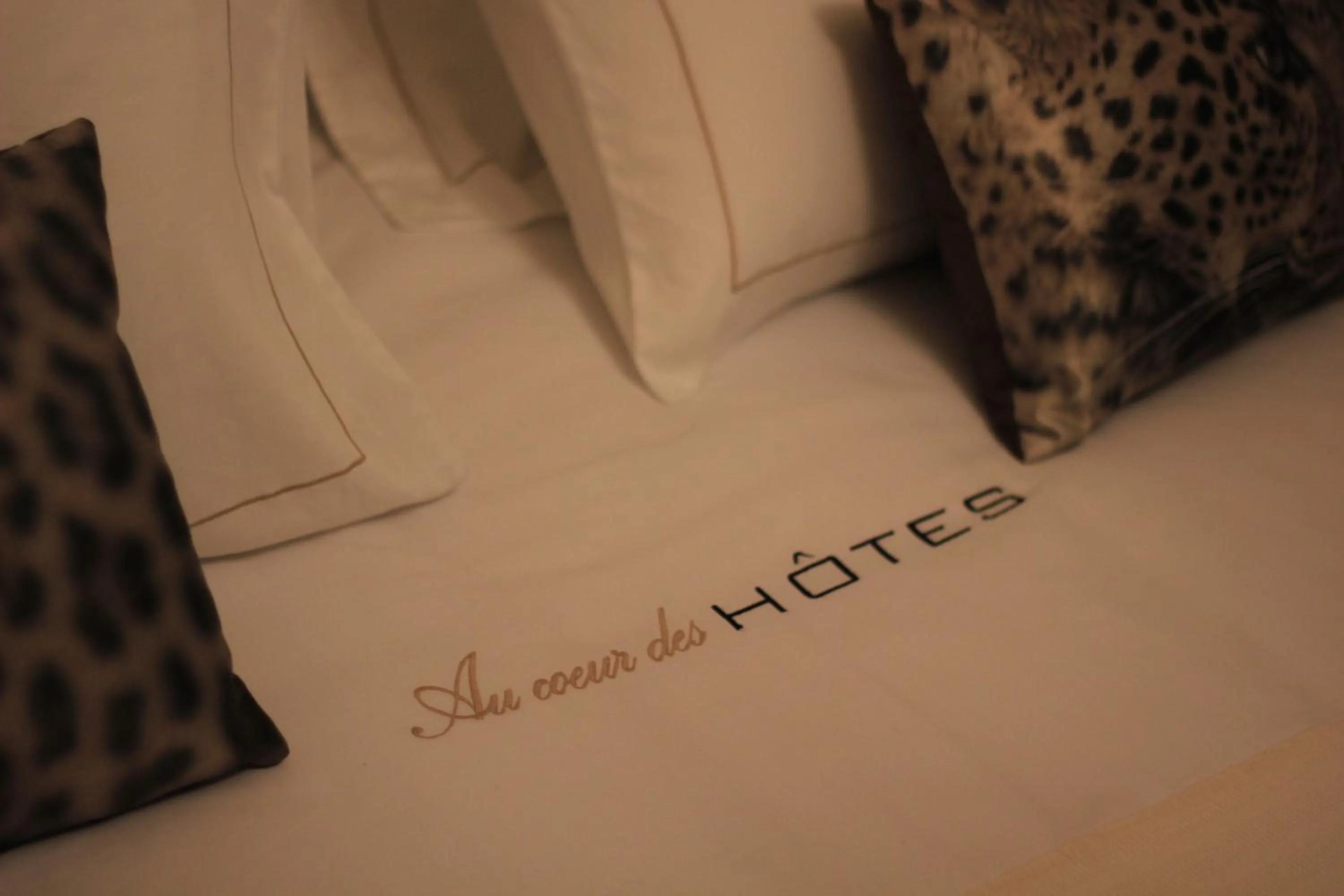 Bed in Au Coeur Des Hôtes