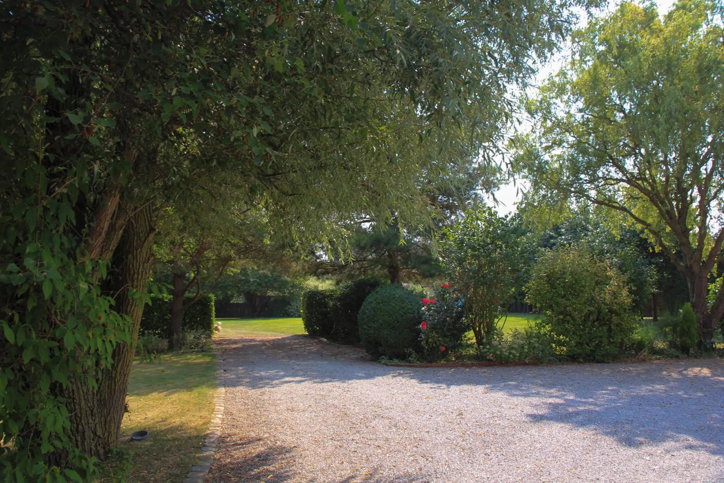 Garden in Au Coeur Des Hôtes
