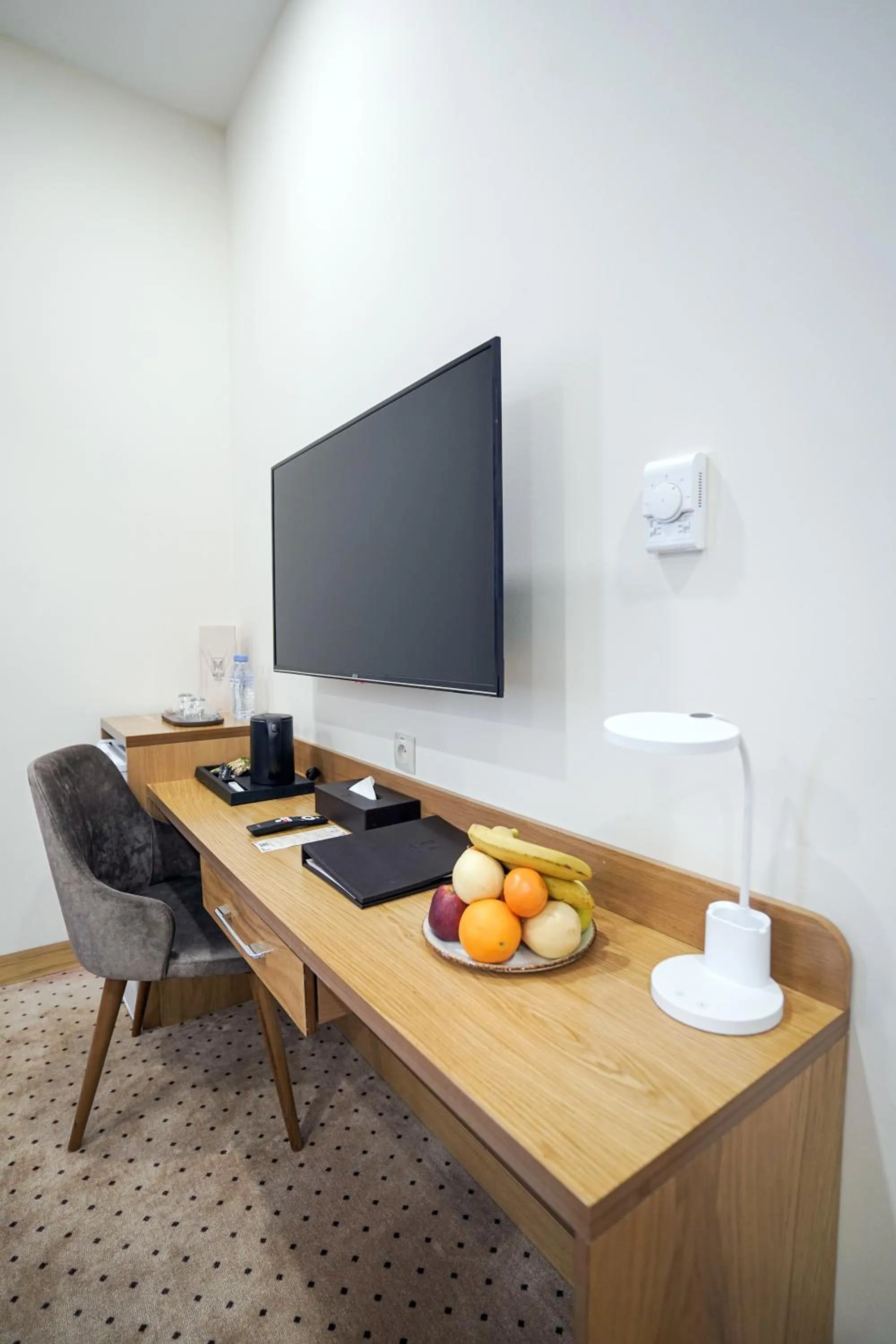 TV and multimedia in Milan Hotel