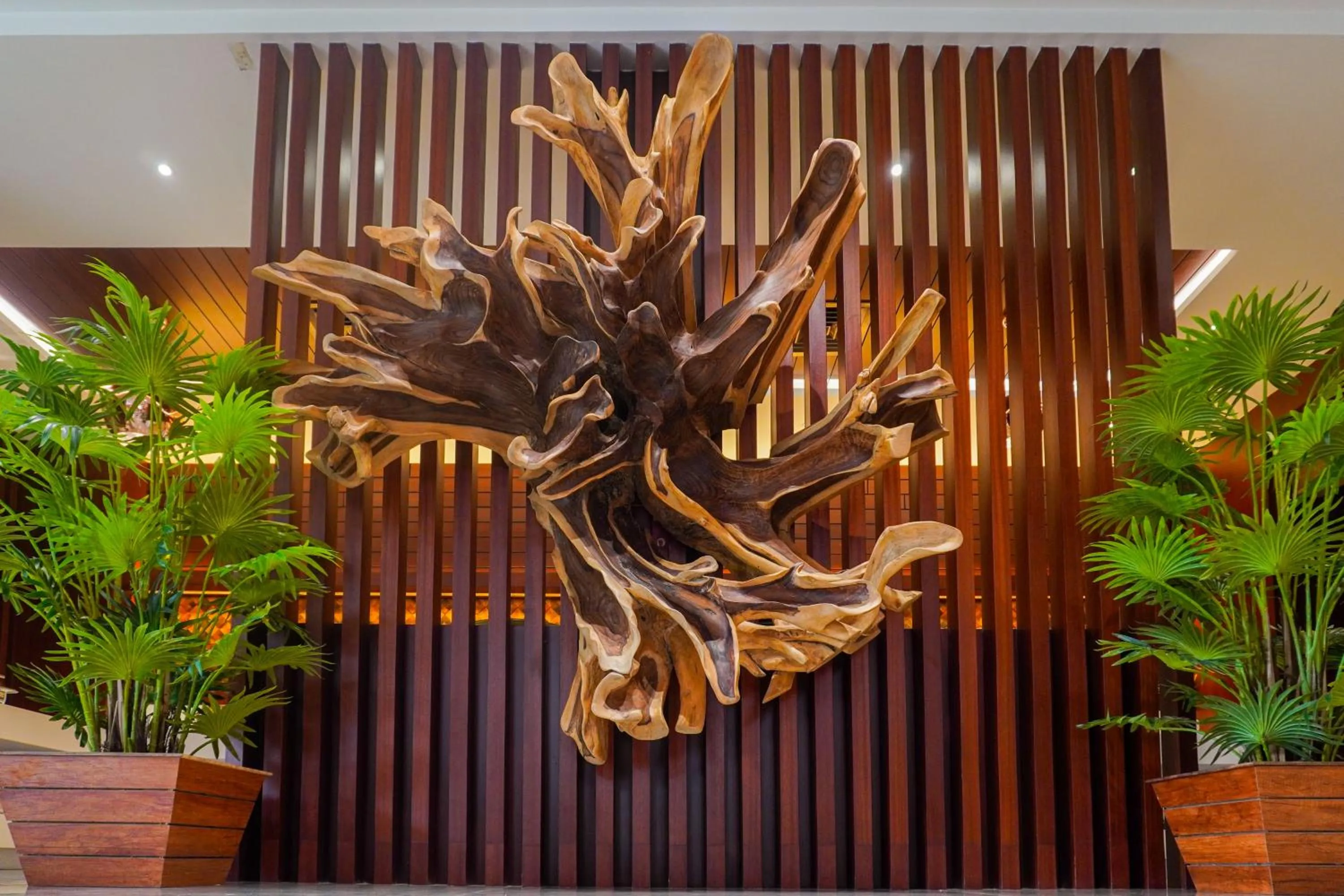 Restaurant/places to eat in Mansha Palace