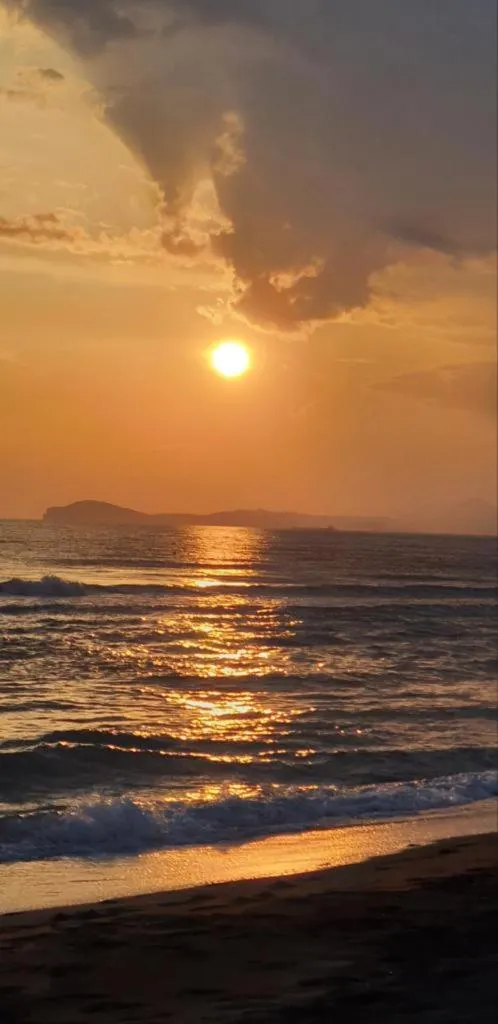 Natural landscape in Domizia Palace Hotel