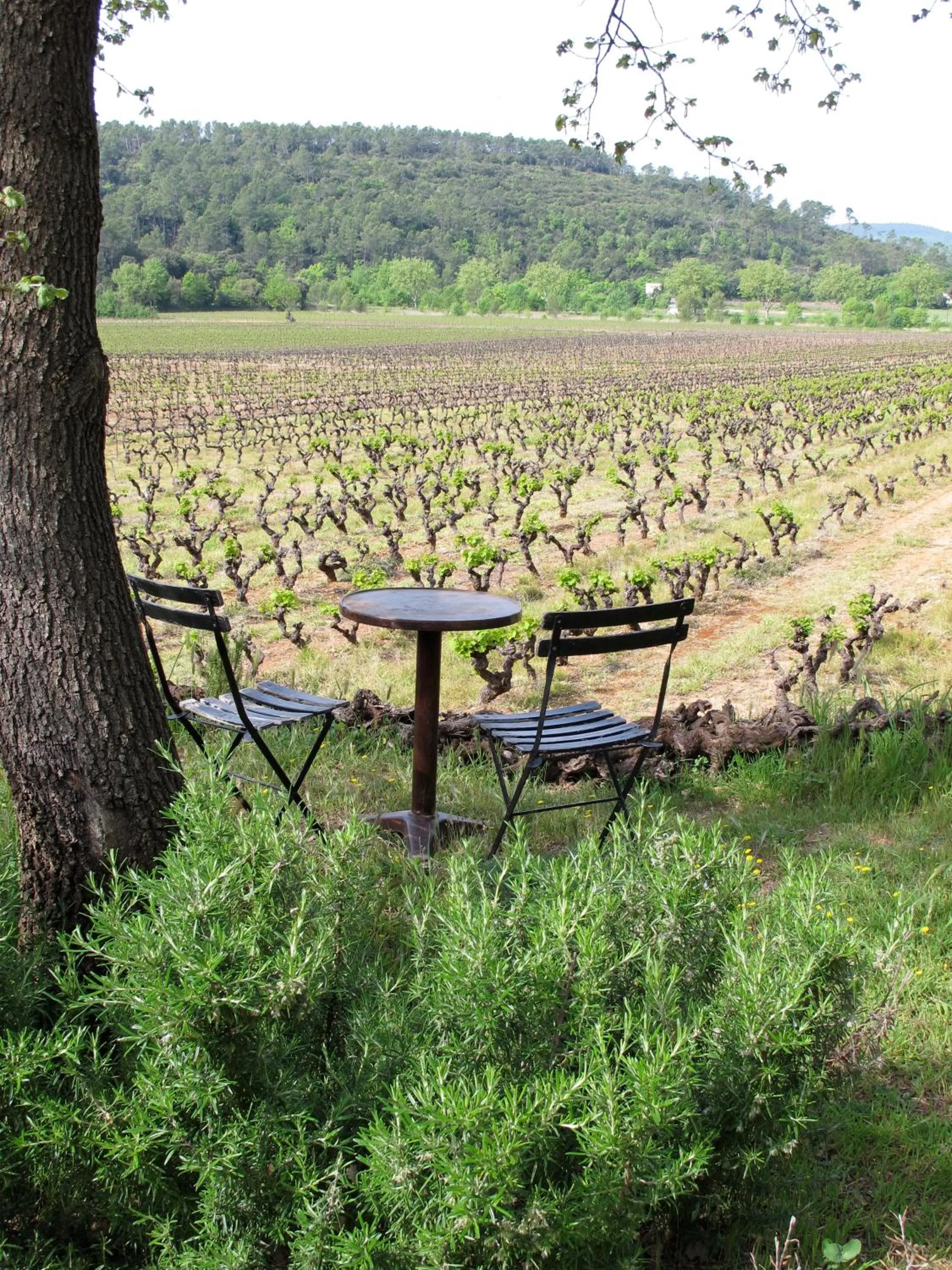 Garden in Les Pierres Sauvages