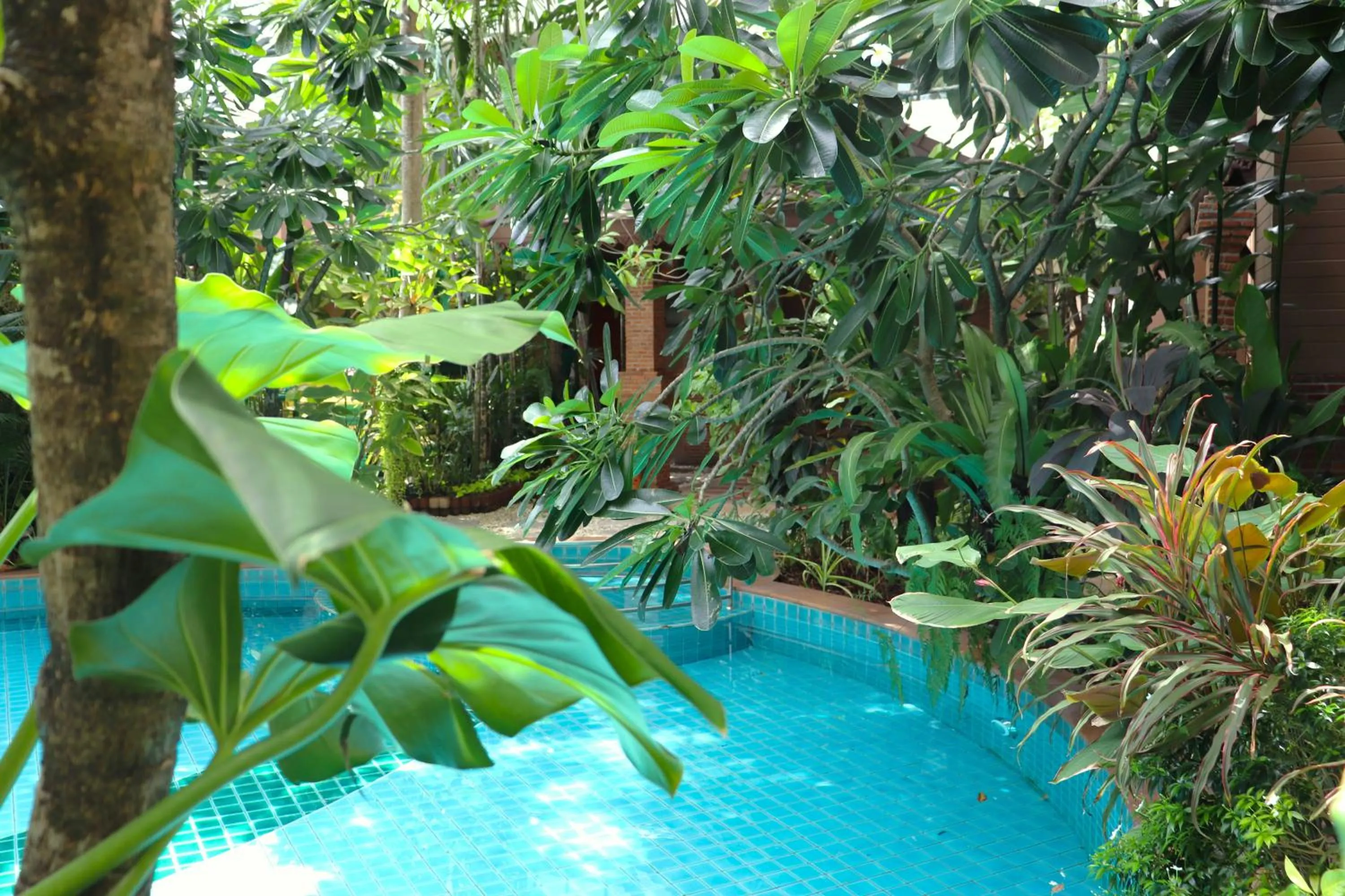 Garden in Quality Beach Resorts and Spa Patong