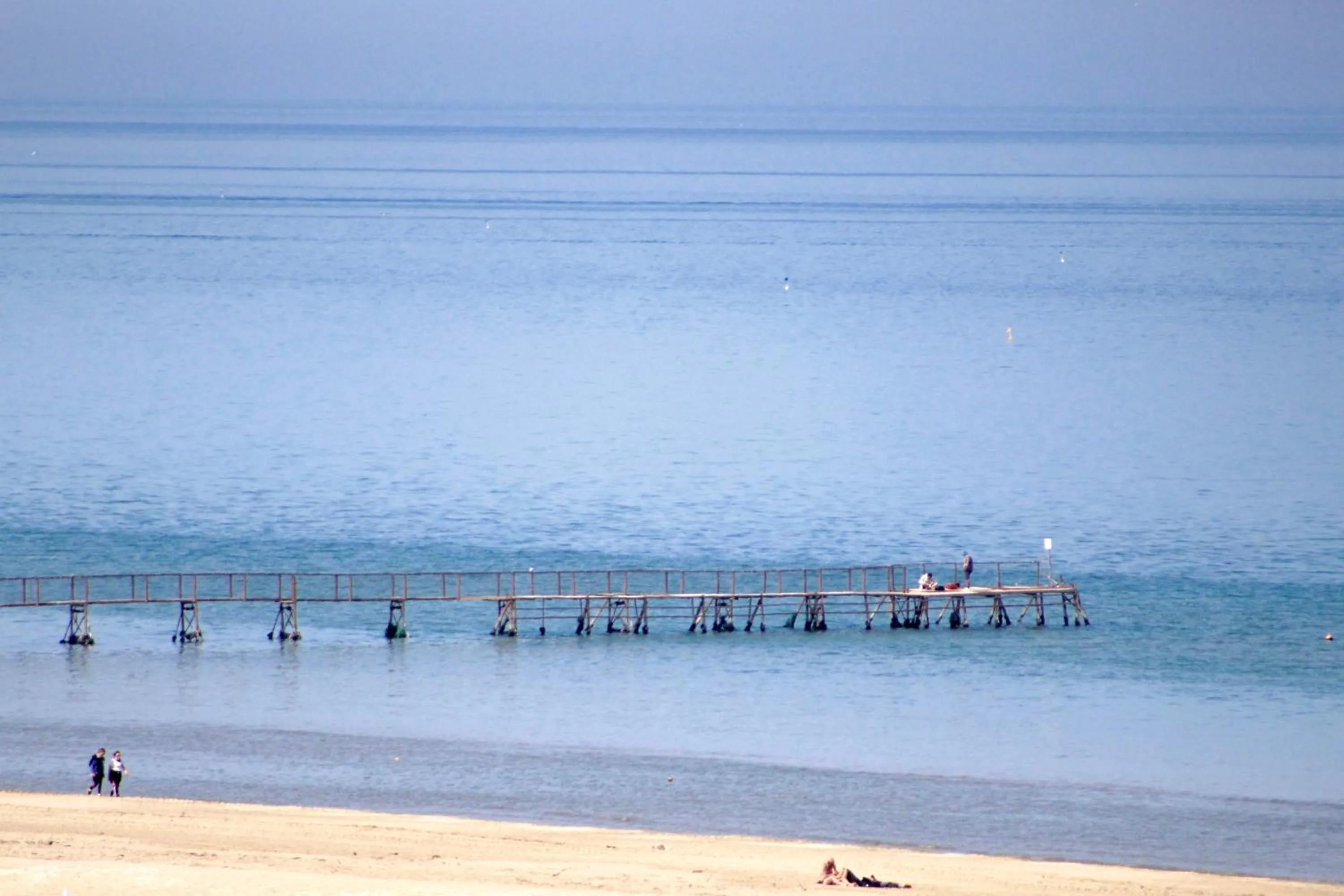 View (from property/room) in Hotel Fedora Rimini