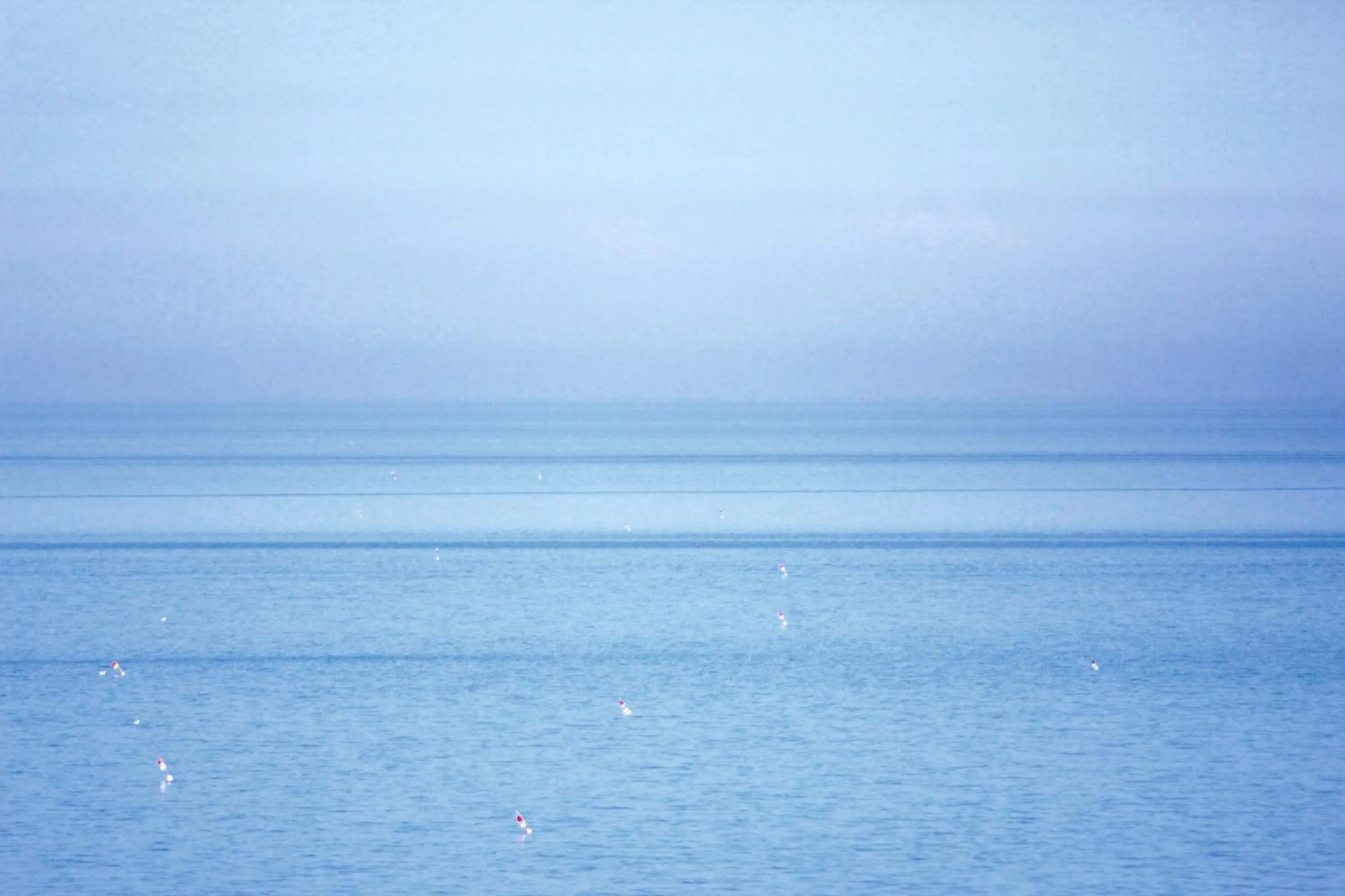 View (from property/room) in Hotel Fedora Rimini