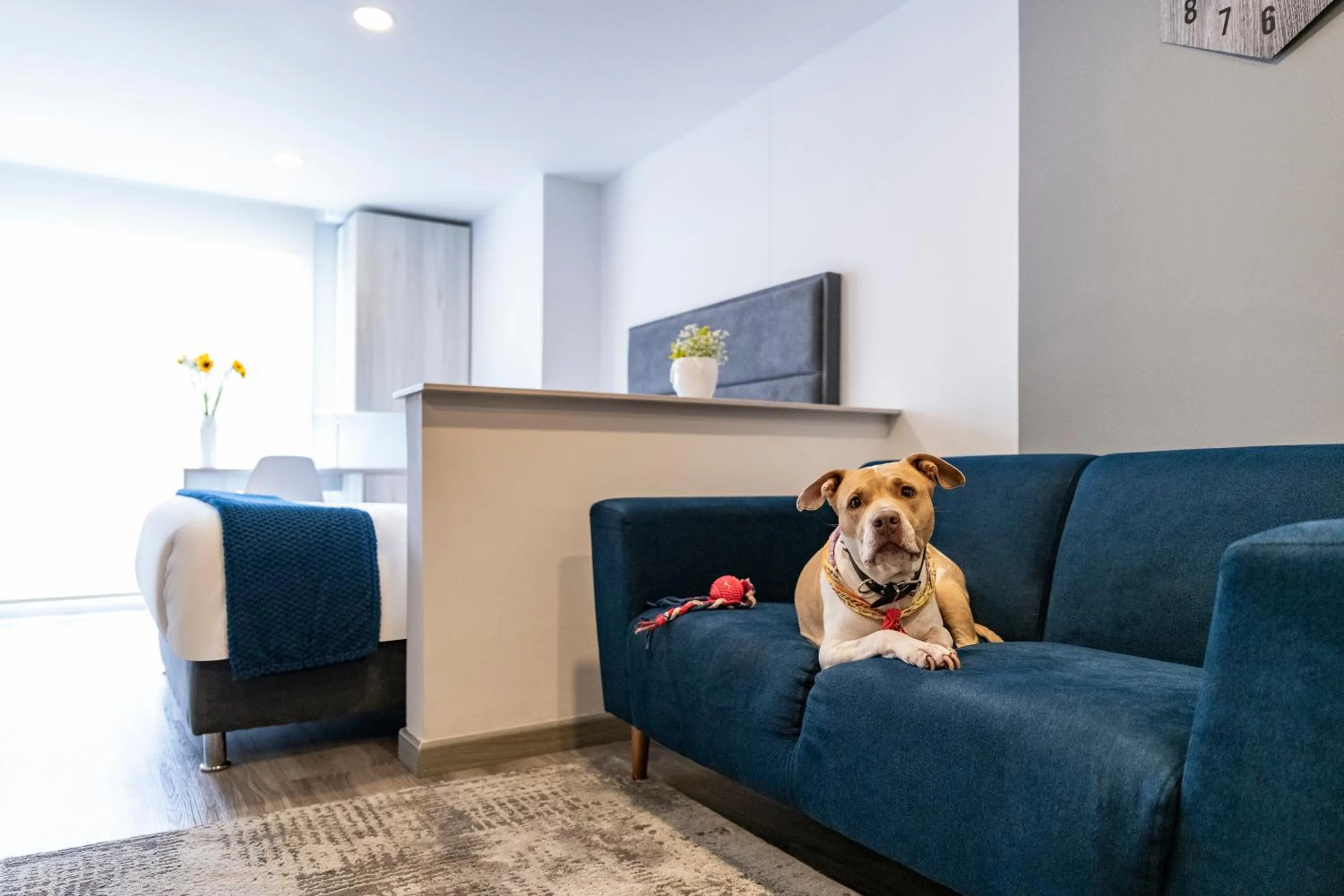 Living room in Torre Ventto Lofts By Jalo