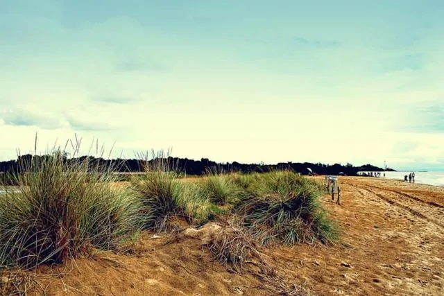Natural landscape in Alla Pergola