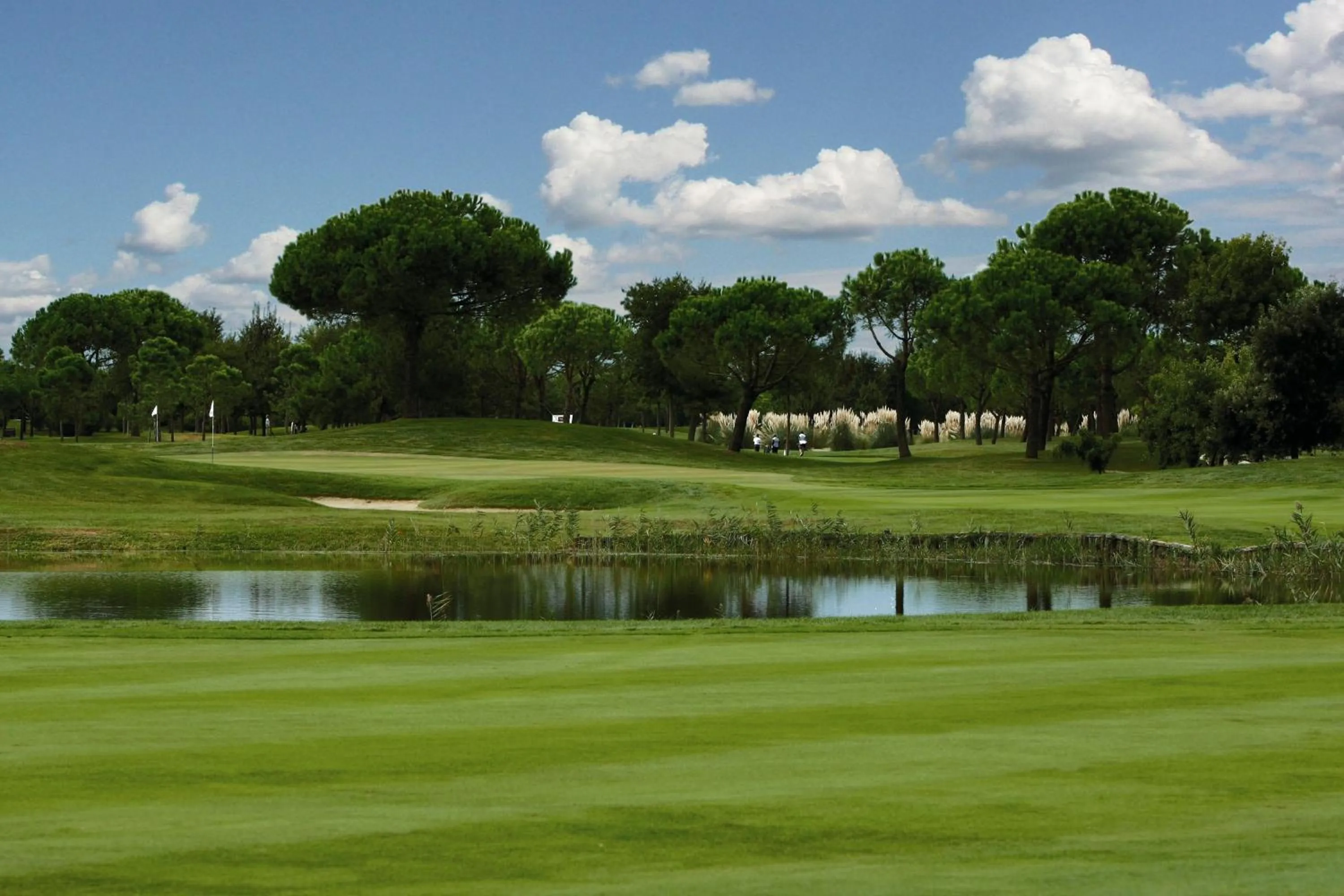 Golfcourse in Hotel Daniele