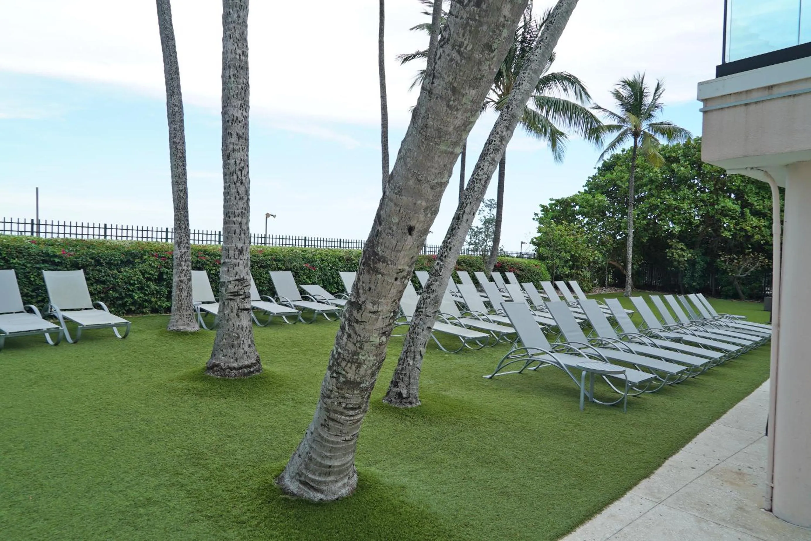 sunbed in Deluxe Apartments by South Florida Vacations