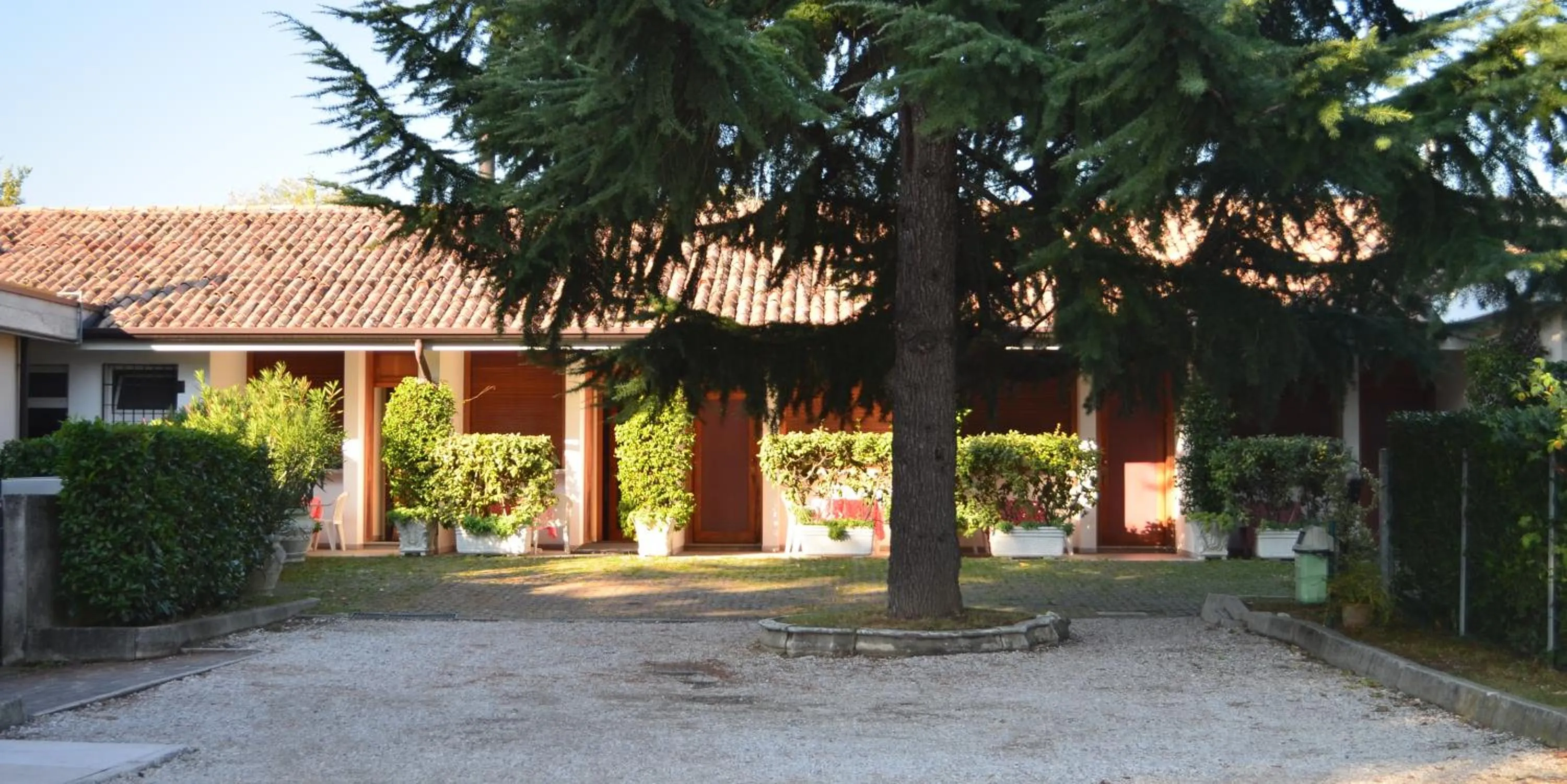 Garden in Hotel Magnolia
