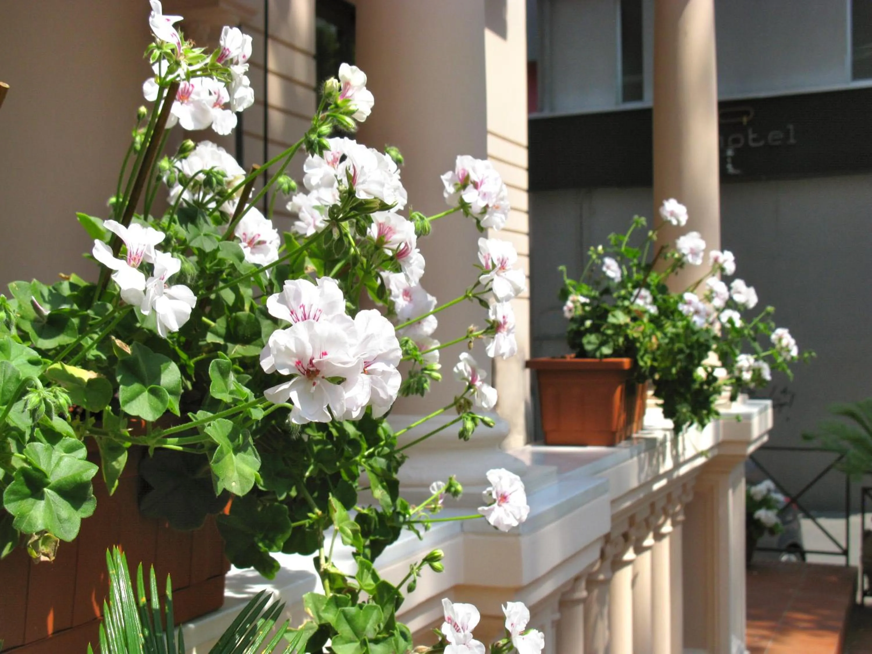 Property building in Hotel Villa Luigia