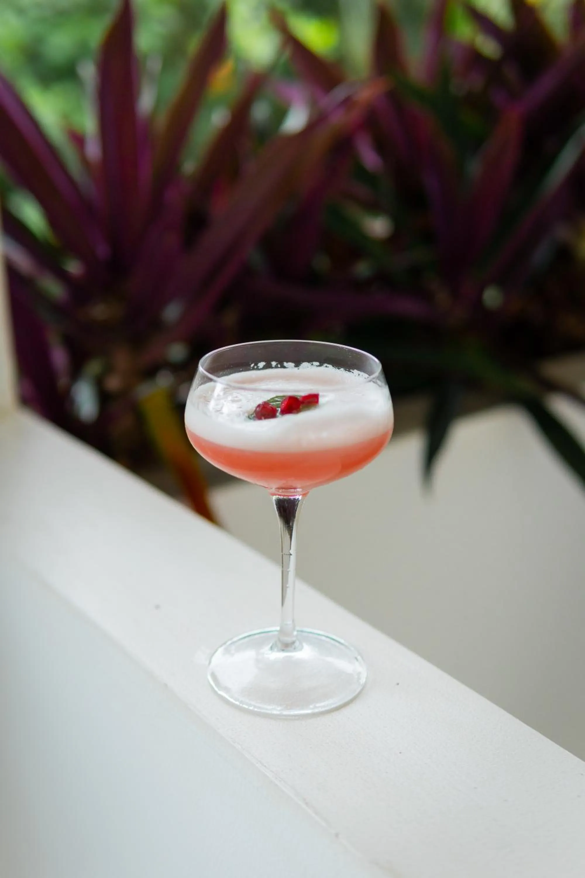 Drinks in Halcyon Mawella