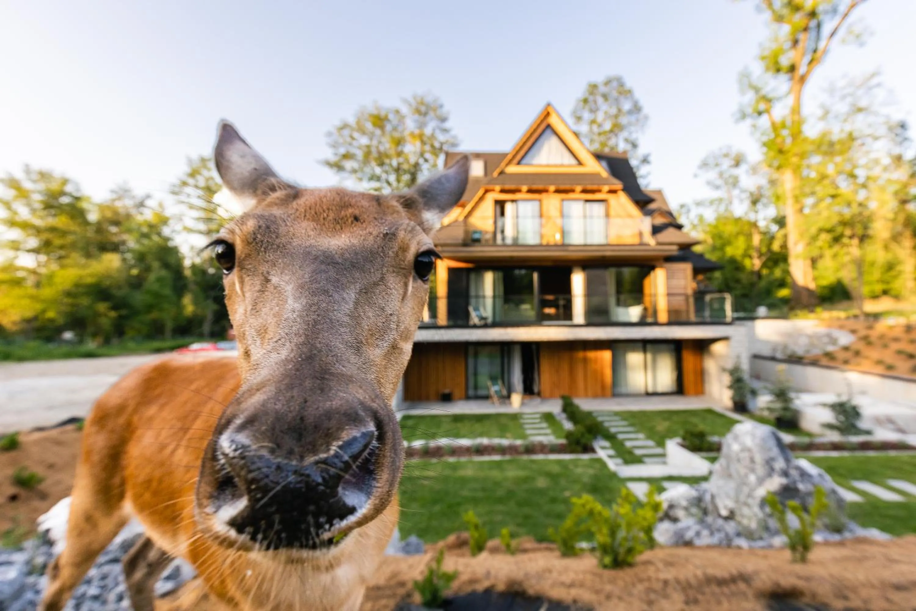 Property building in Villa T Apartments & SPA