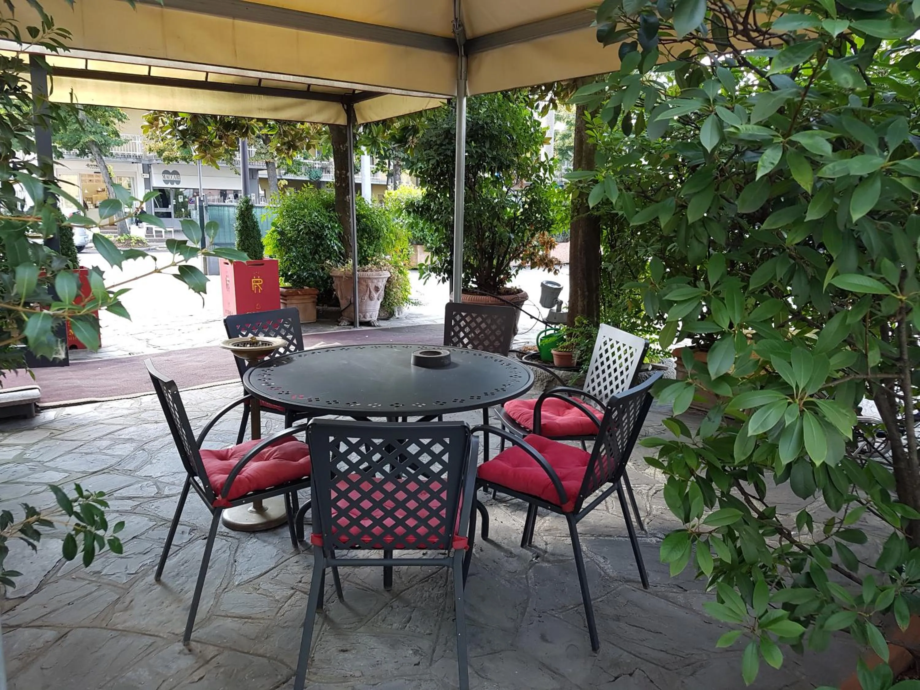 Garden in Hotel Residence