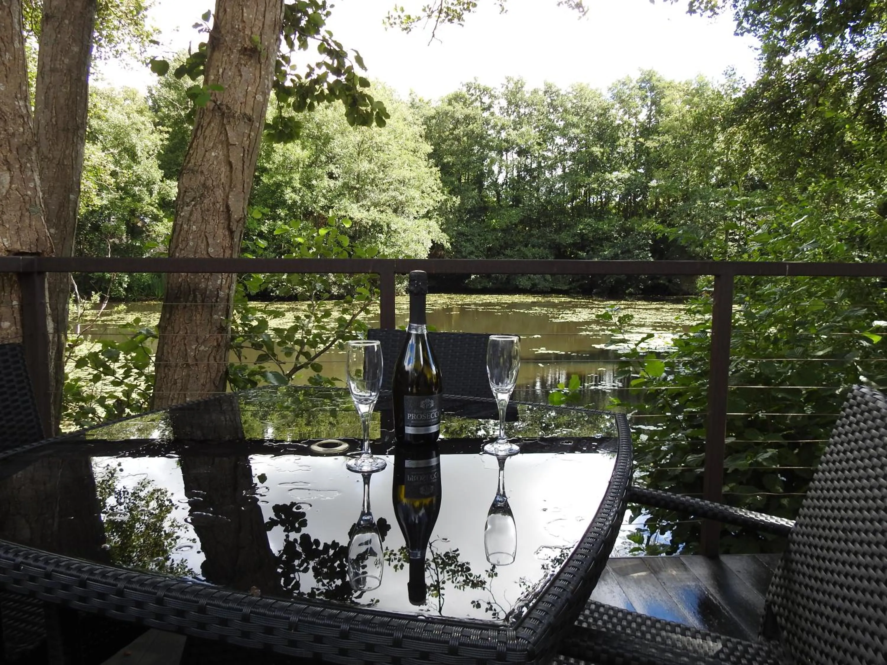 Natural landscape in Warren Wood Country Park