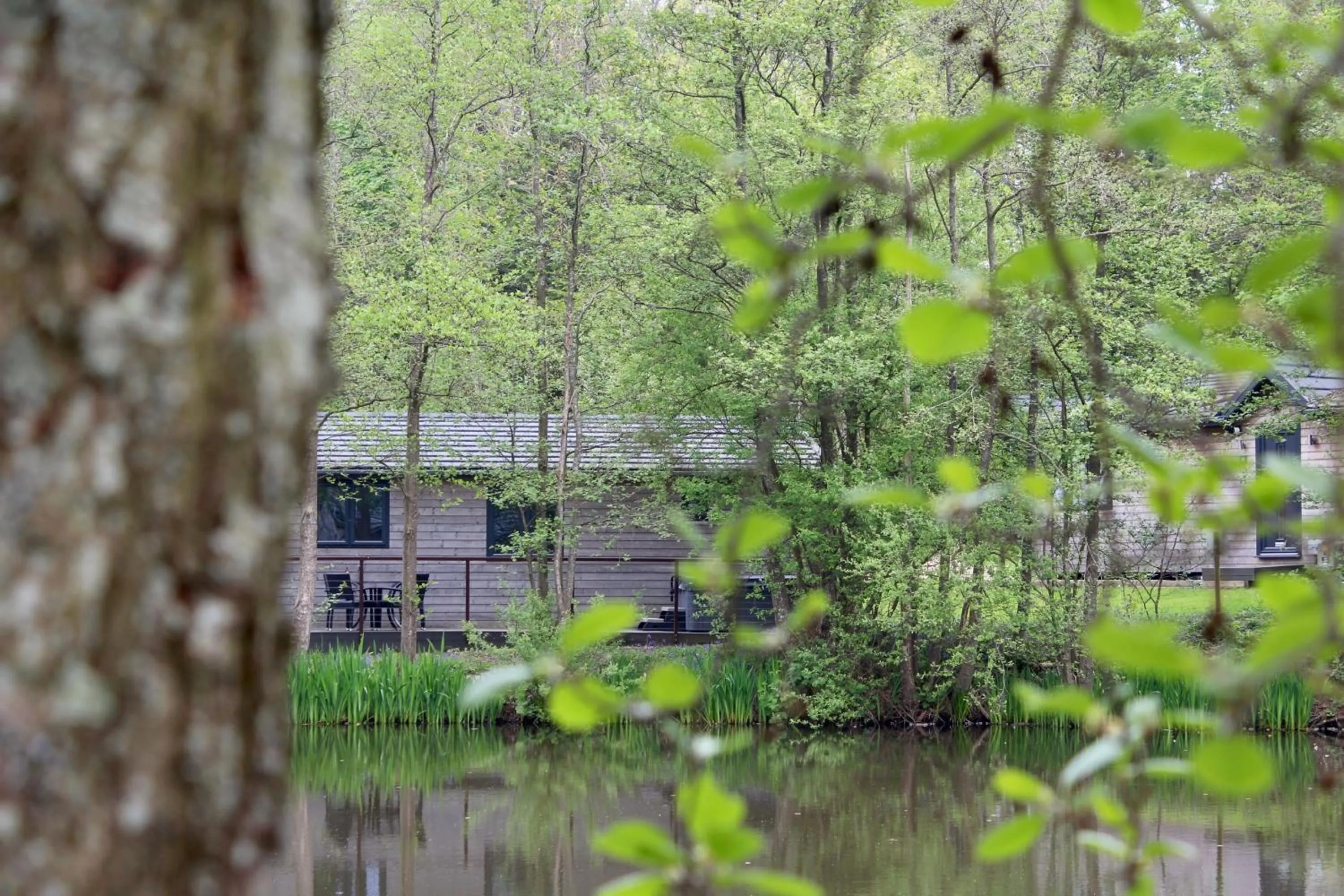 Natural landscape in Warren Wood Country Park