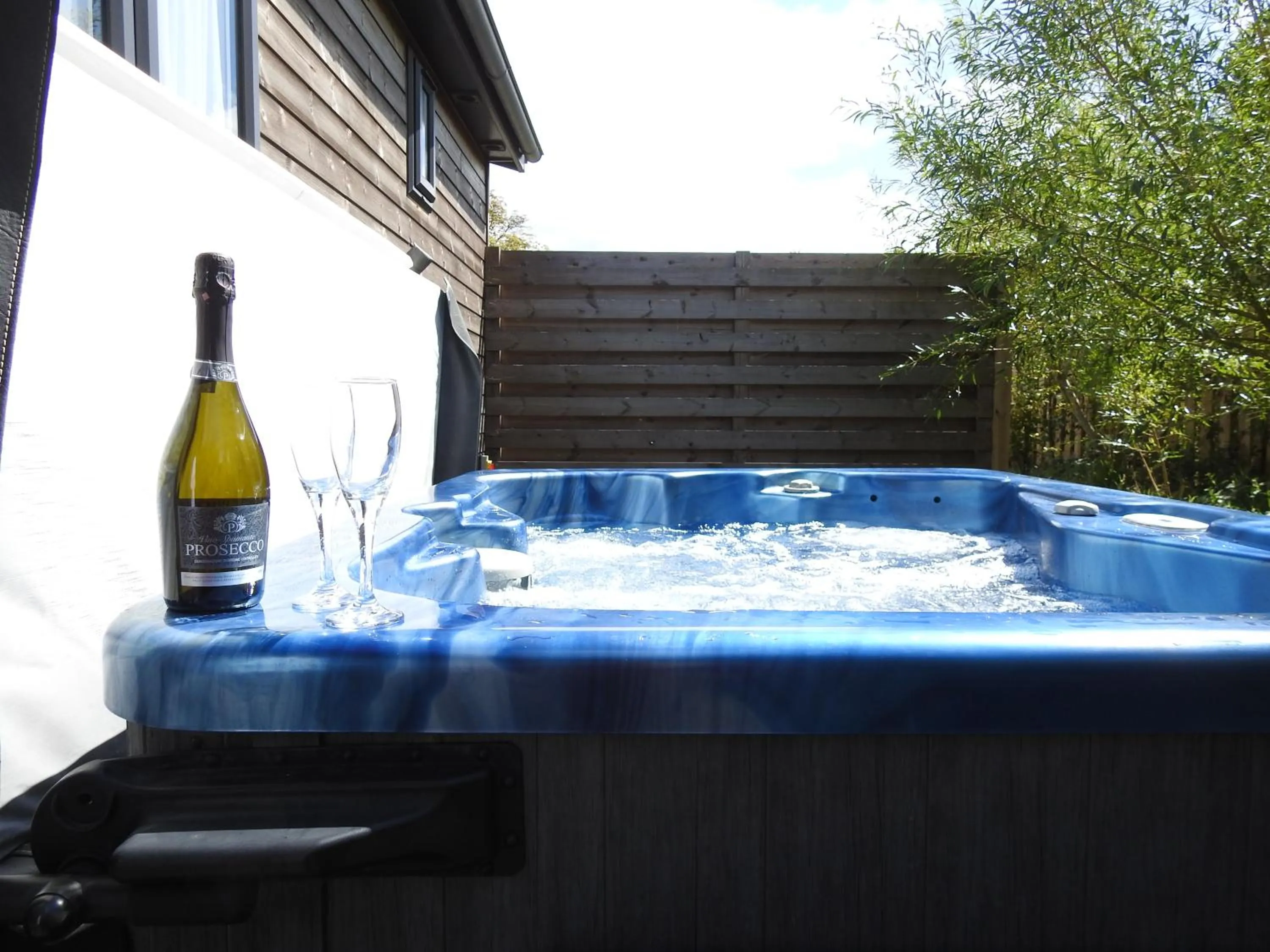 Day in Warren Wood Country Park