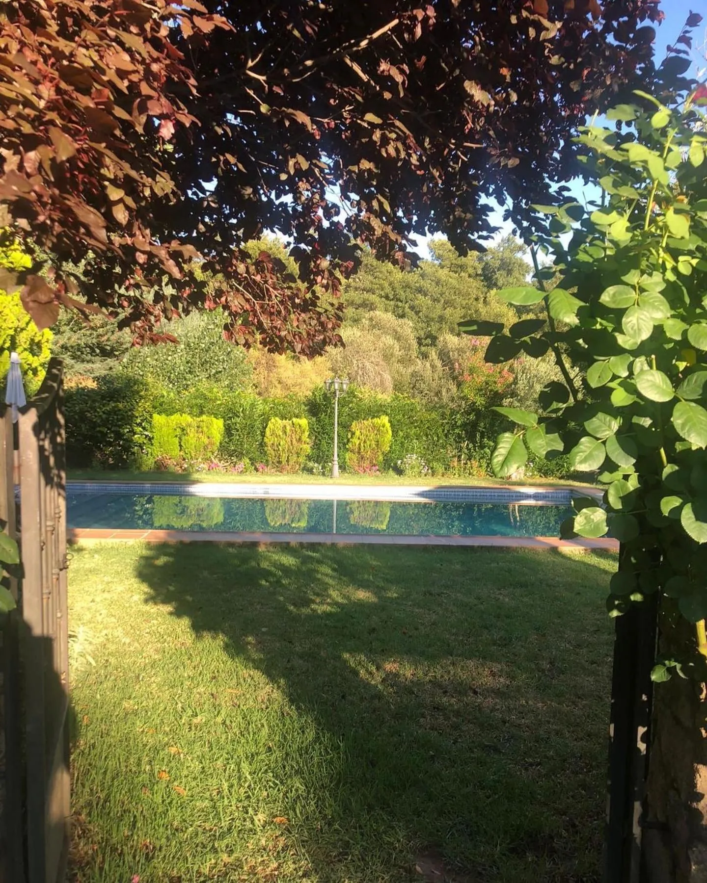 Swimming pool in Finca Vergel