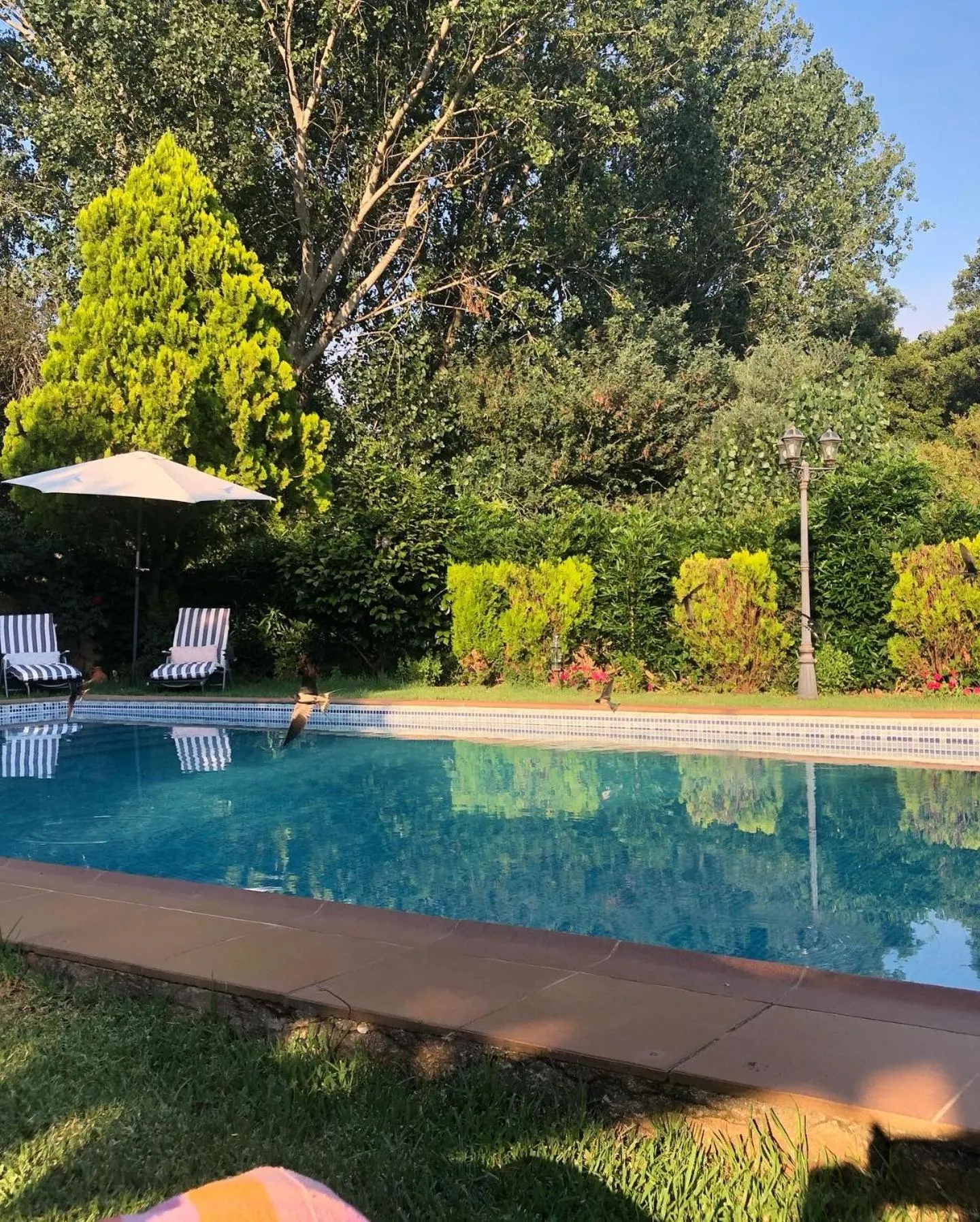 Swimming pool in Finca Vergel