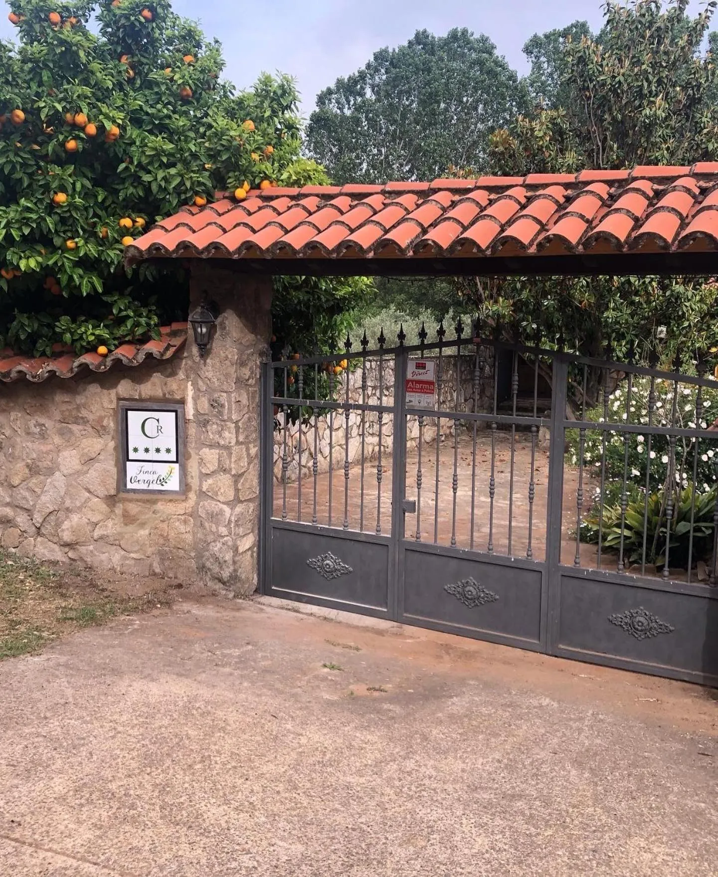 Property building in Finca Vergel