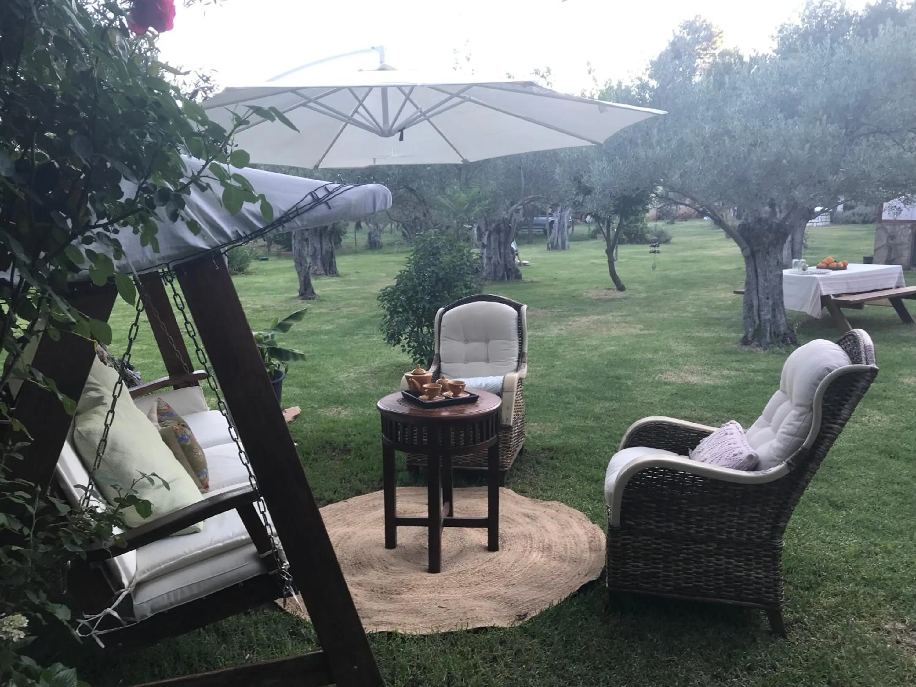 Garden in Finca Vergel