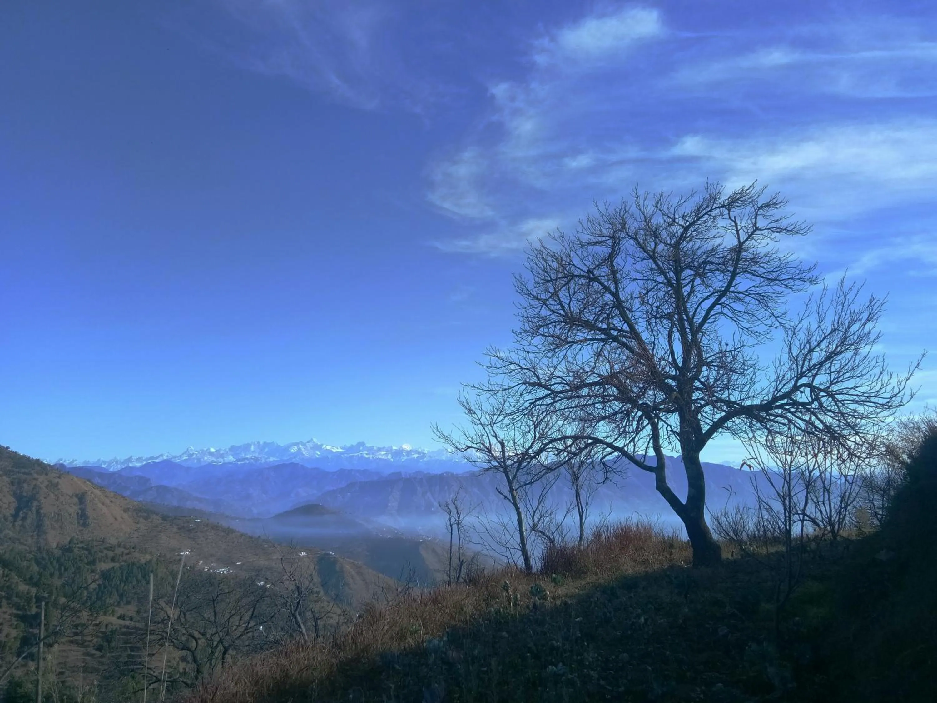 Mountain view in IN APPLE ESTATE KANATAL - Himalayan View Resort with Courteous Staff