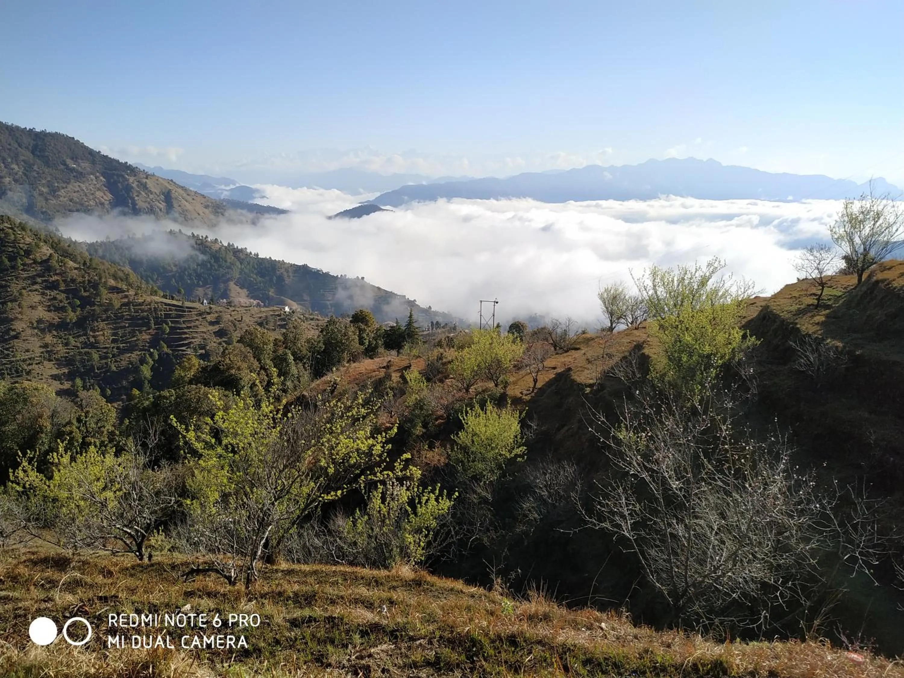 Mountain view in IN APPLE ESTATE KANATAL - Himalayan View Resort with Courteous Staff