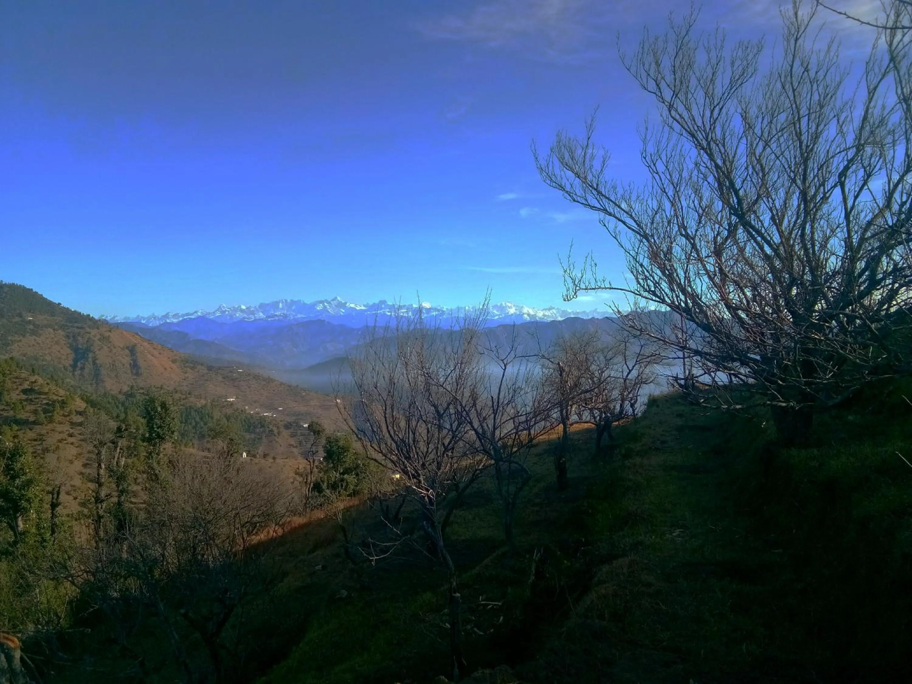 View (from property/room) in IN APPLE ESTATE KANATAL - Himalayan View Resort with Courteous Staff