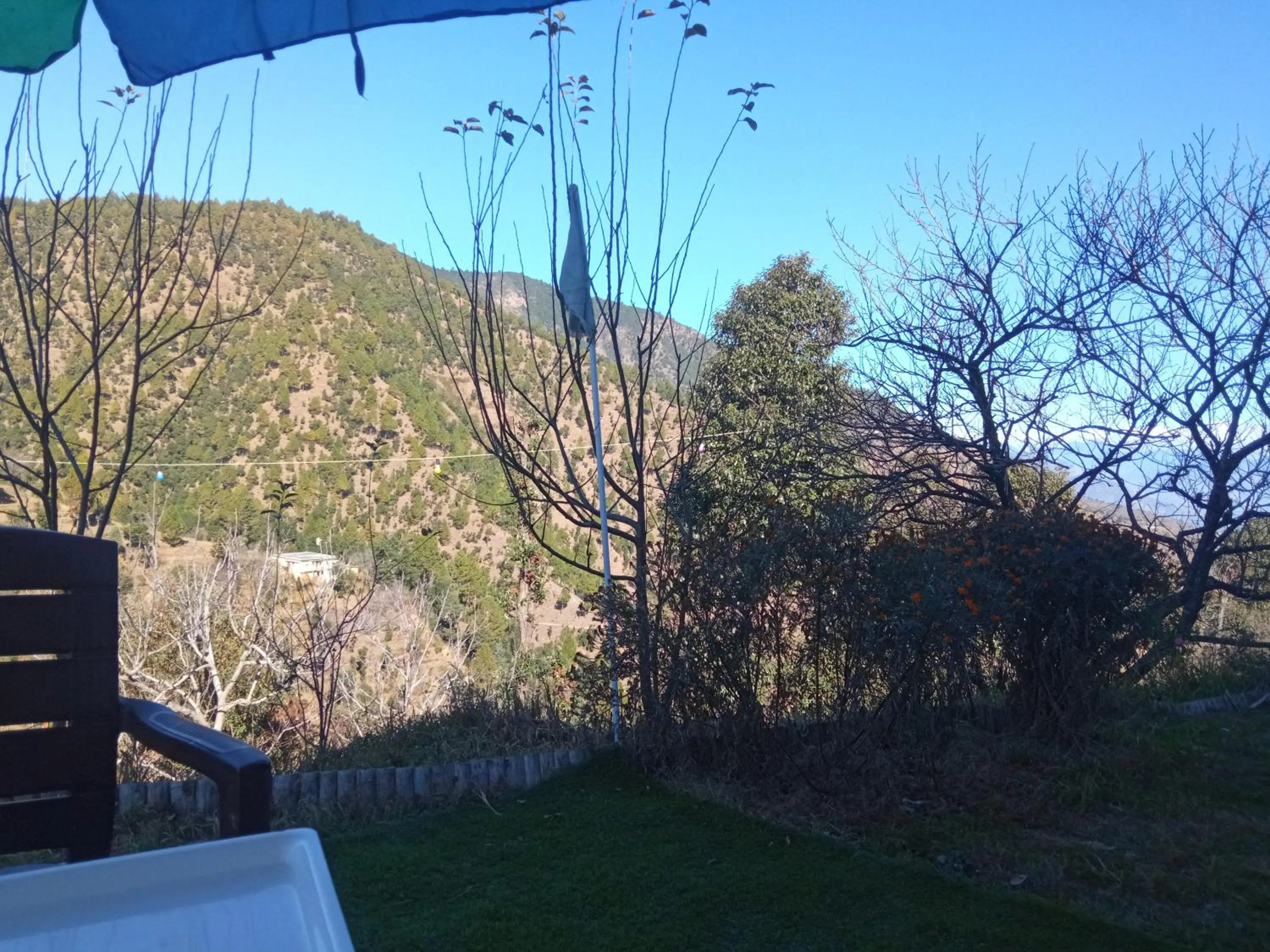 Mountain view in IN APPLE ESTATE KANATAL - Himalayan View Resort with Courteous Staff