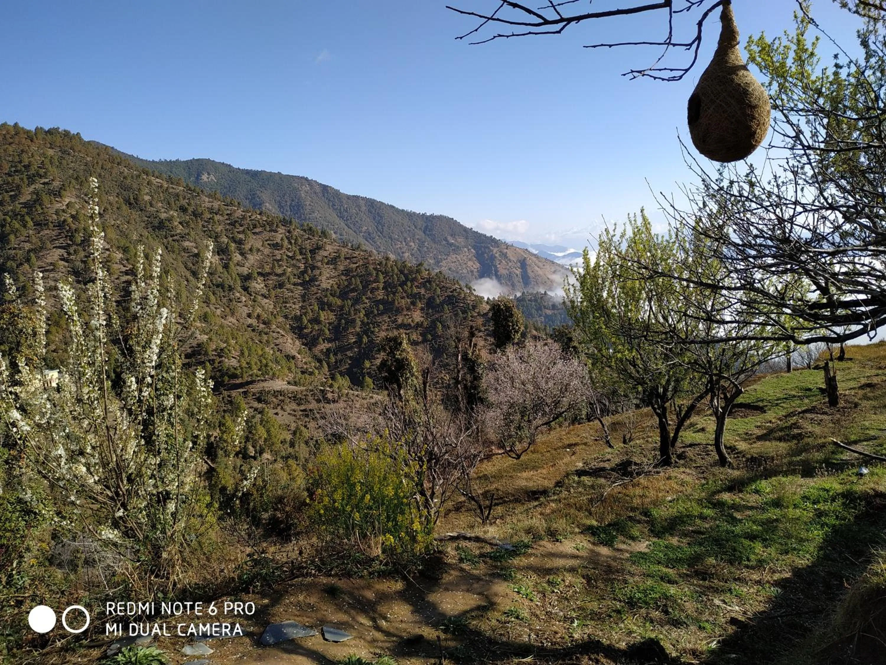 Natural landscape in IN APPLE ESTATE KANATAL - Himalayan View Resort with Courteous Staff