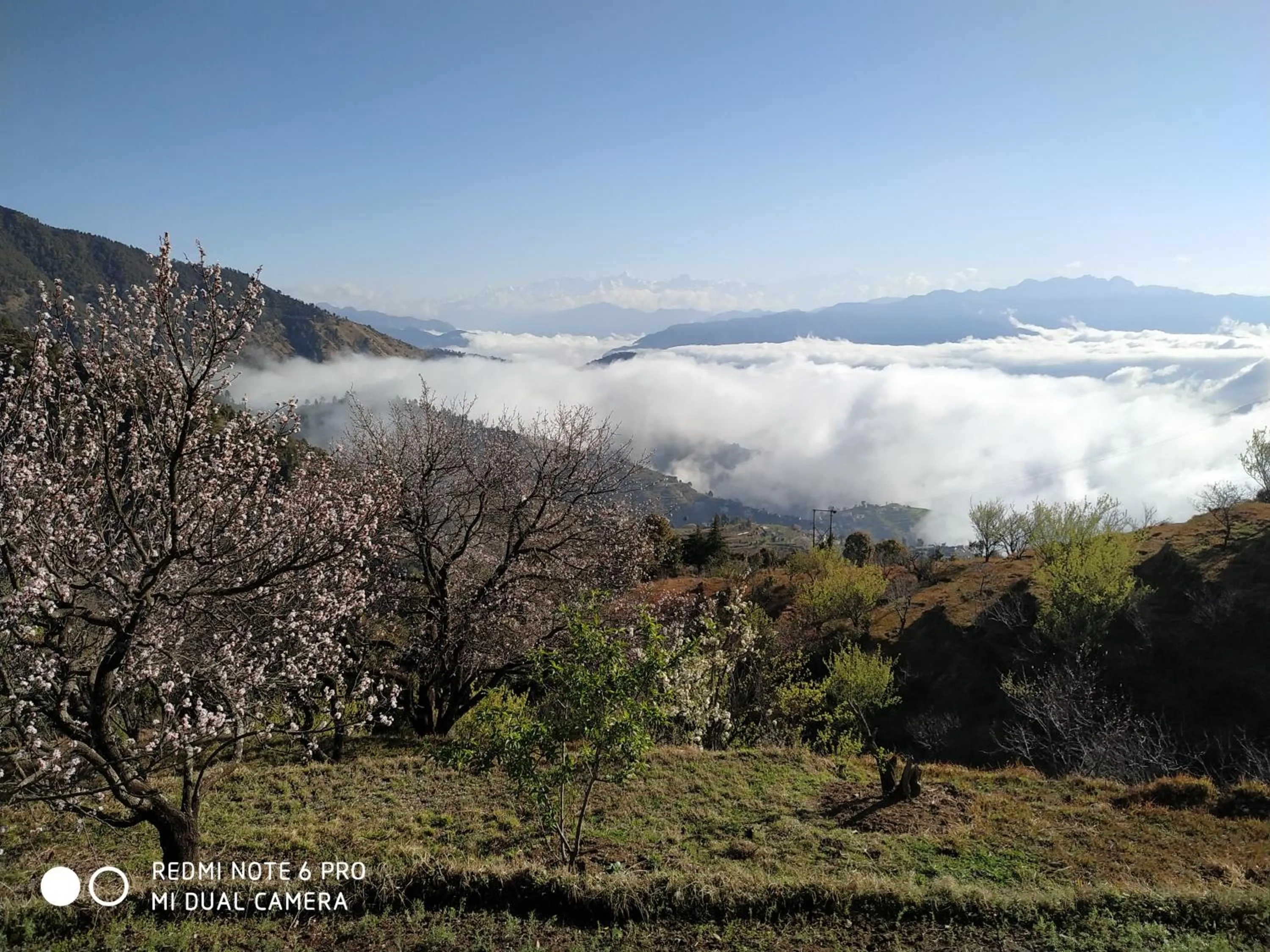 Hiking in IN APPLE ESTATE KANATAL - Himalayan View Resort with Courteous Staff