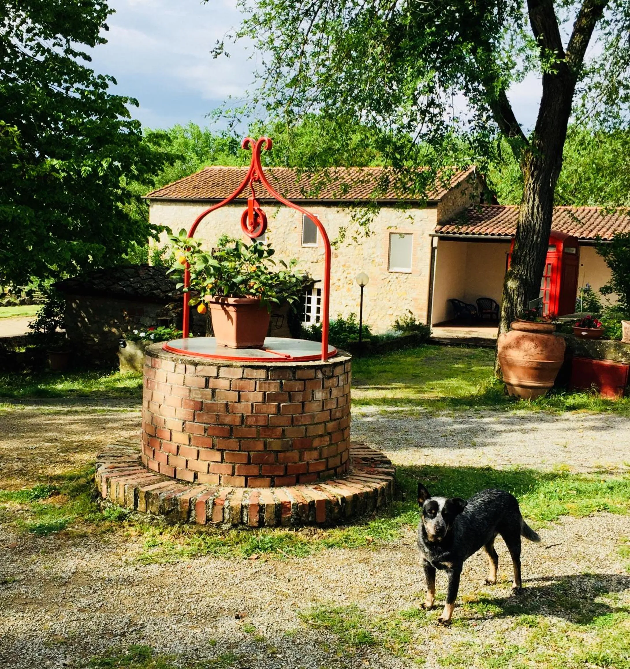 Pets in Agriturismo La Selva