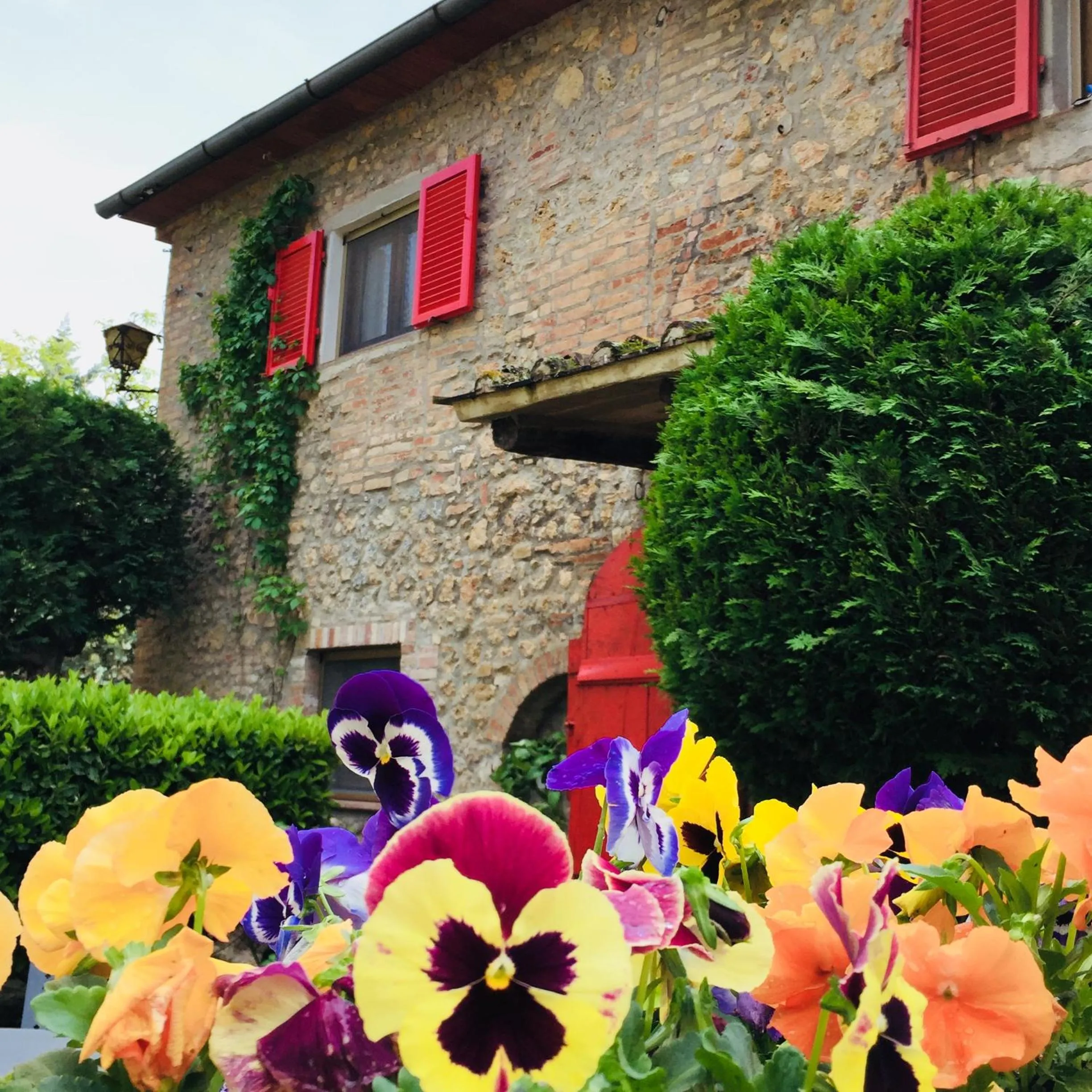 Coffee/tea facilities in Agriturismo La Selva