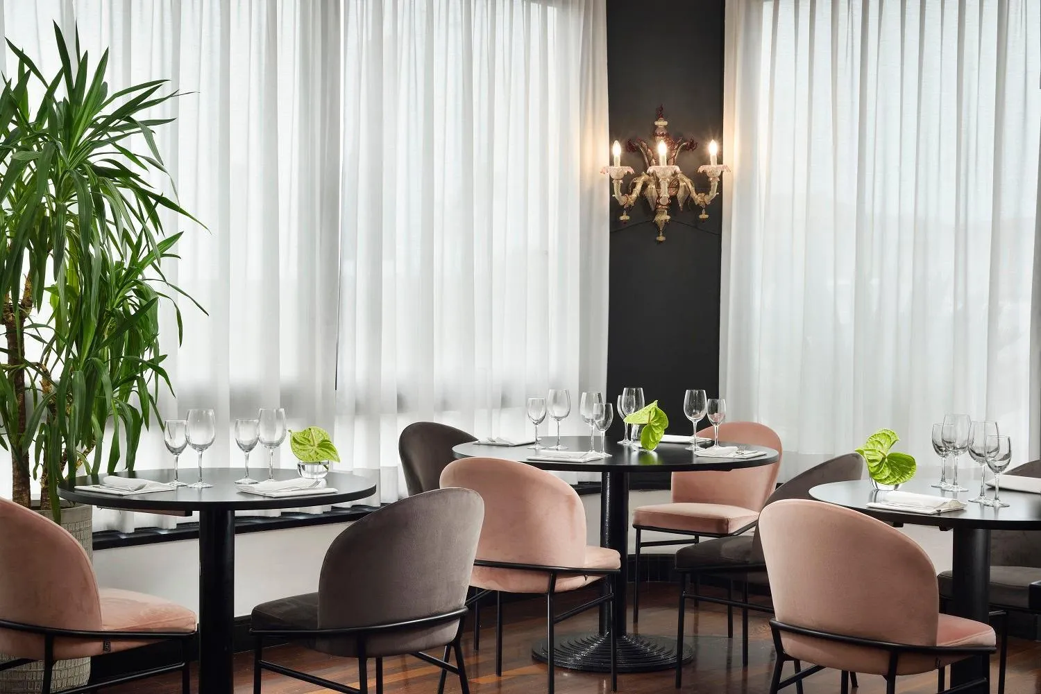 Restaurant/places to eat in Hotel President