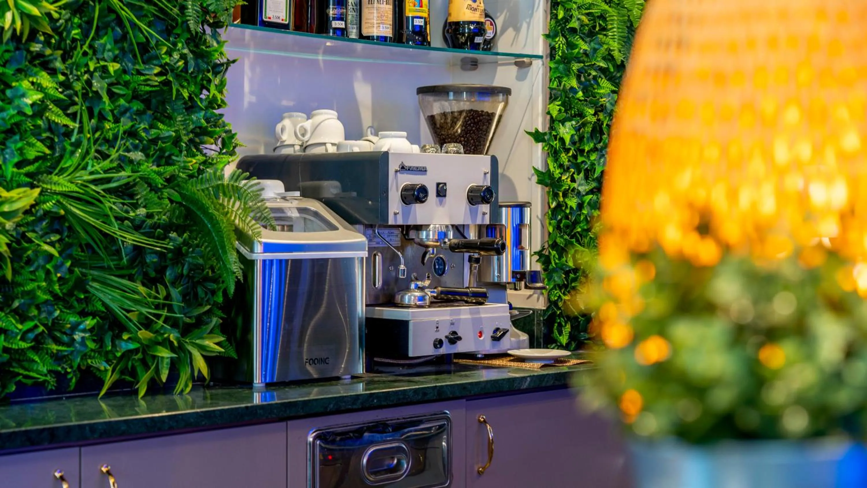 Confidence Hotel Ligabue