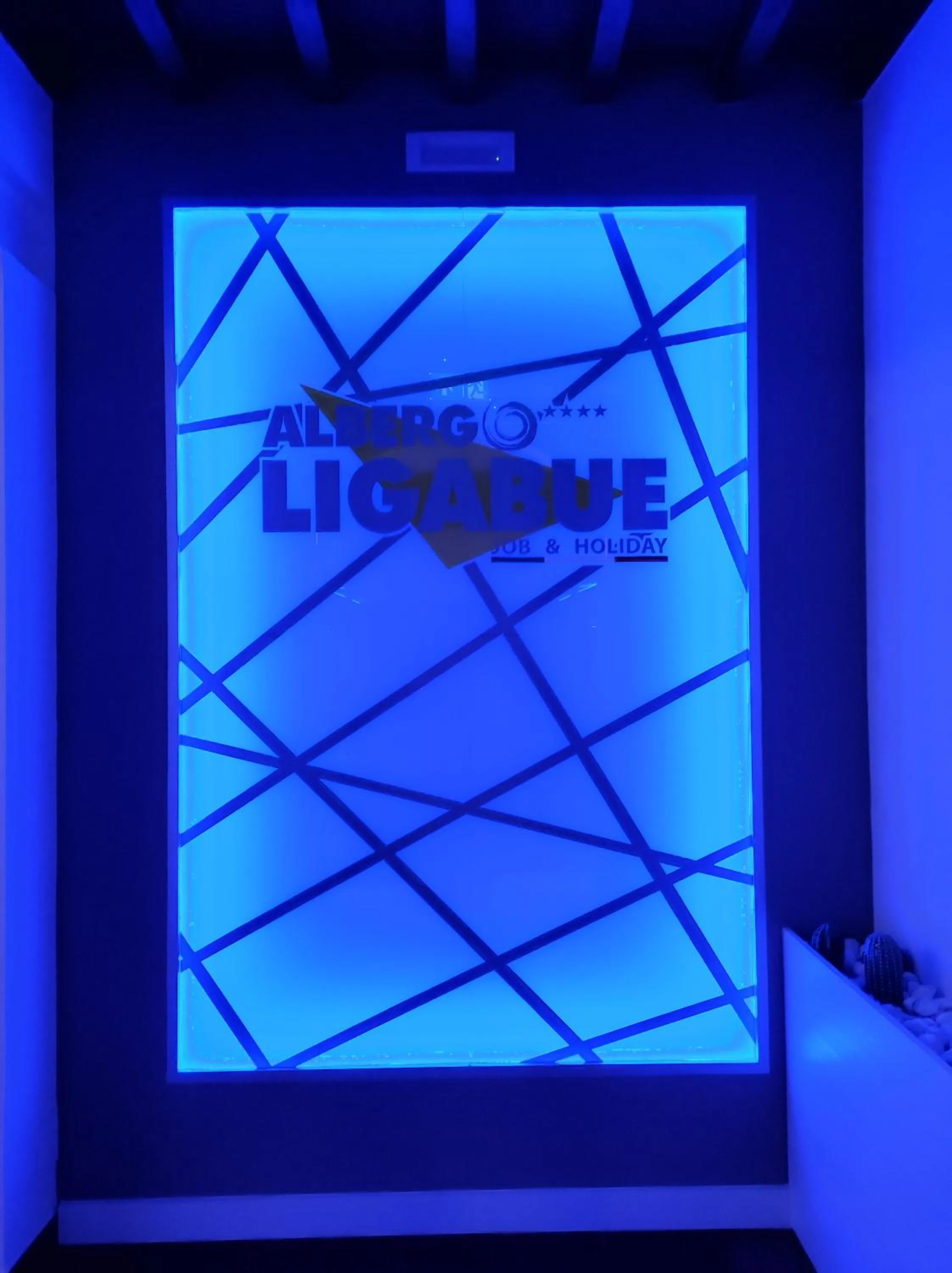 Confidence Hotel Ligabue