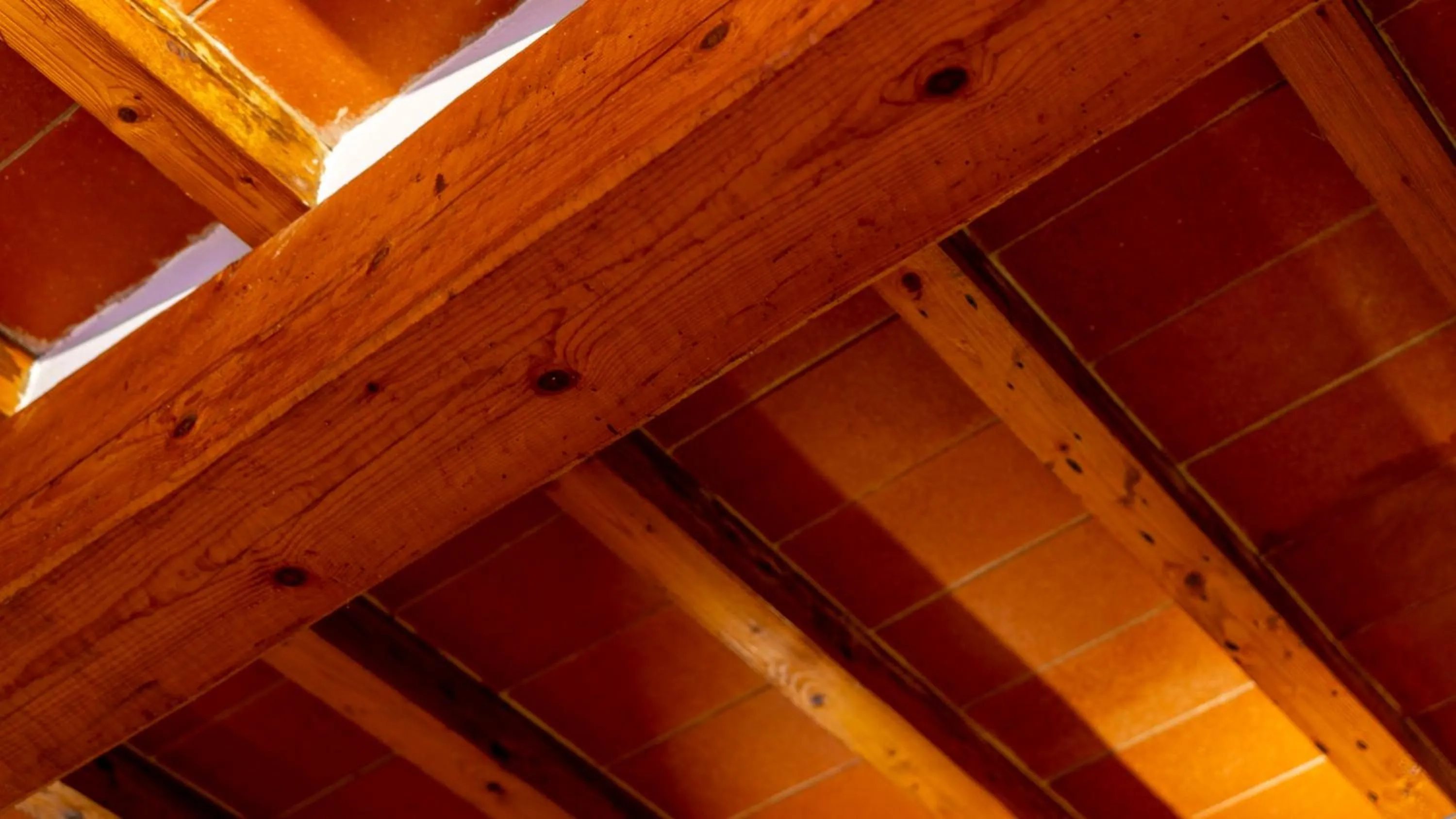 Confidence Hotel Ligabue