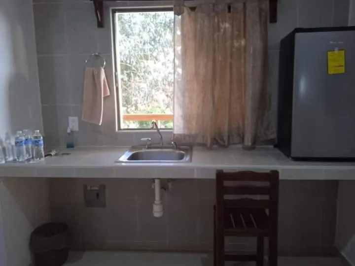 Kitchen or kitchenette in Ecohotel Shalom