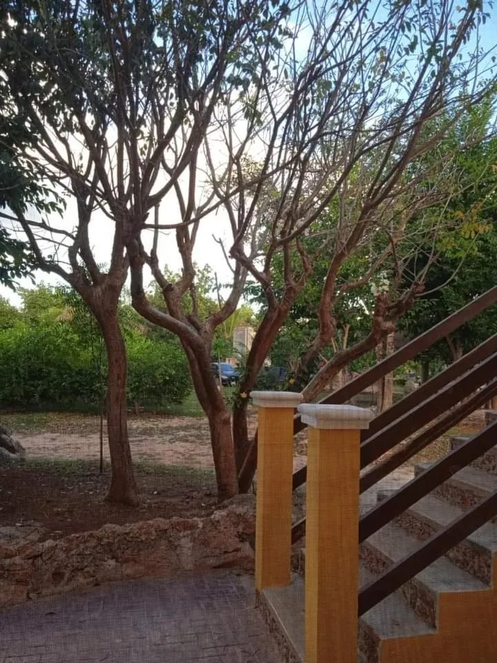 Property building in Ecohotel Shalom