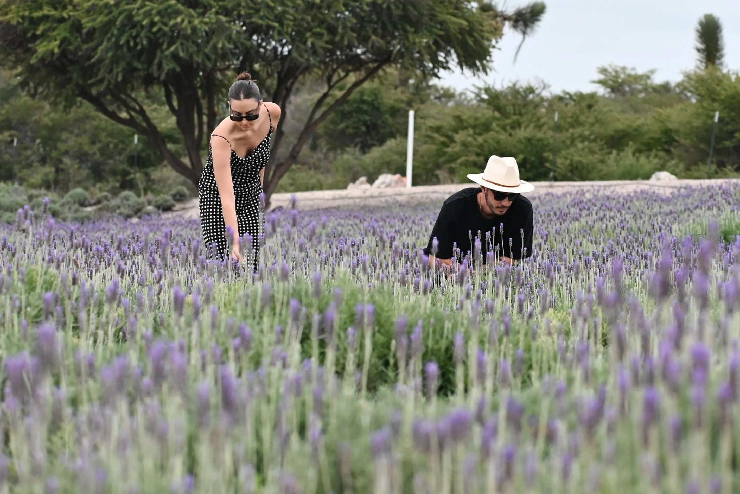 Natural landscape in Viatura Omún, San Miguel de Allende, with Optional All Inclusive