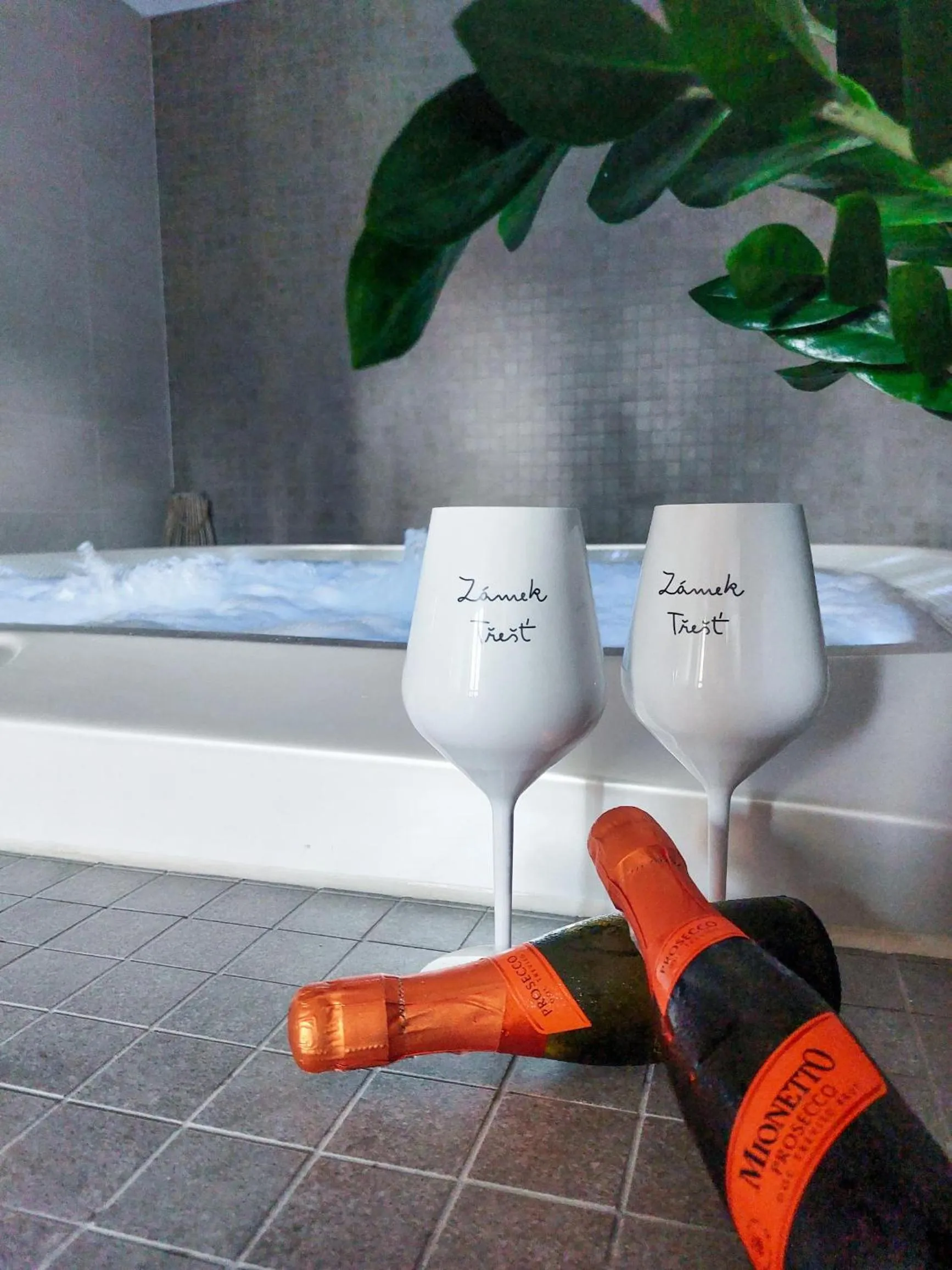 Swimming pool in Zámek Třešť