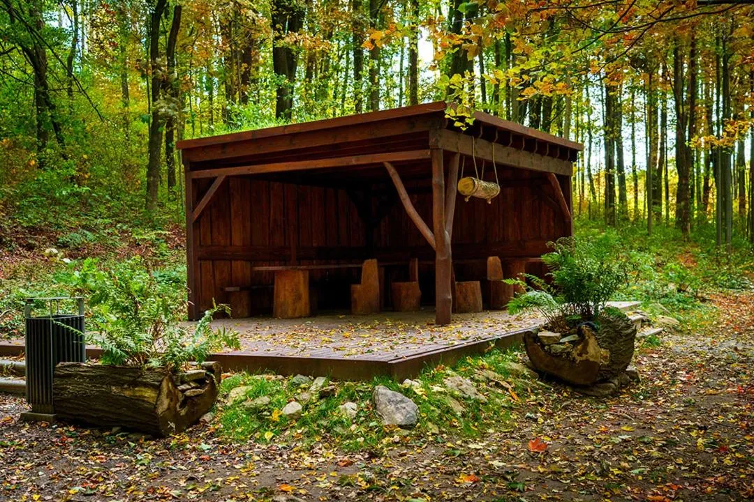 Day in Zámek Třešť