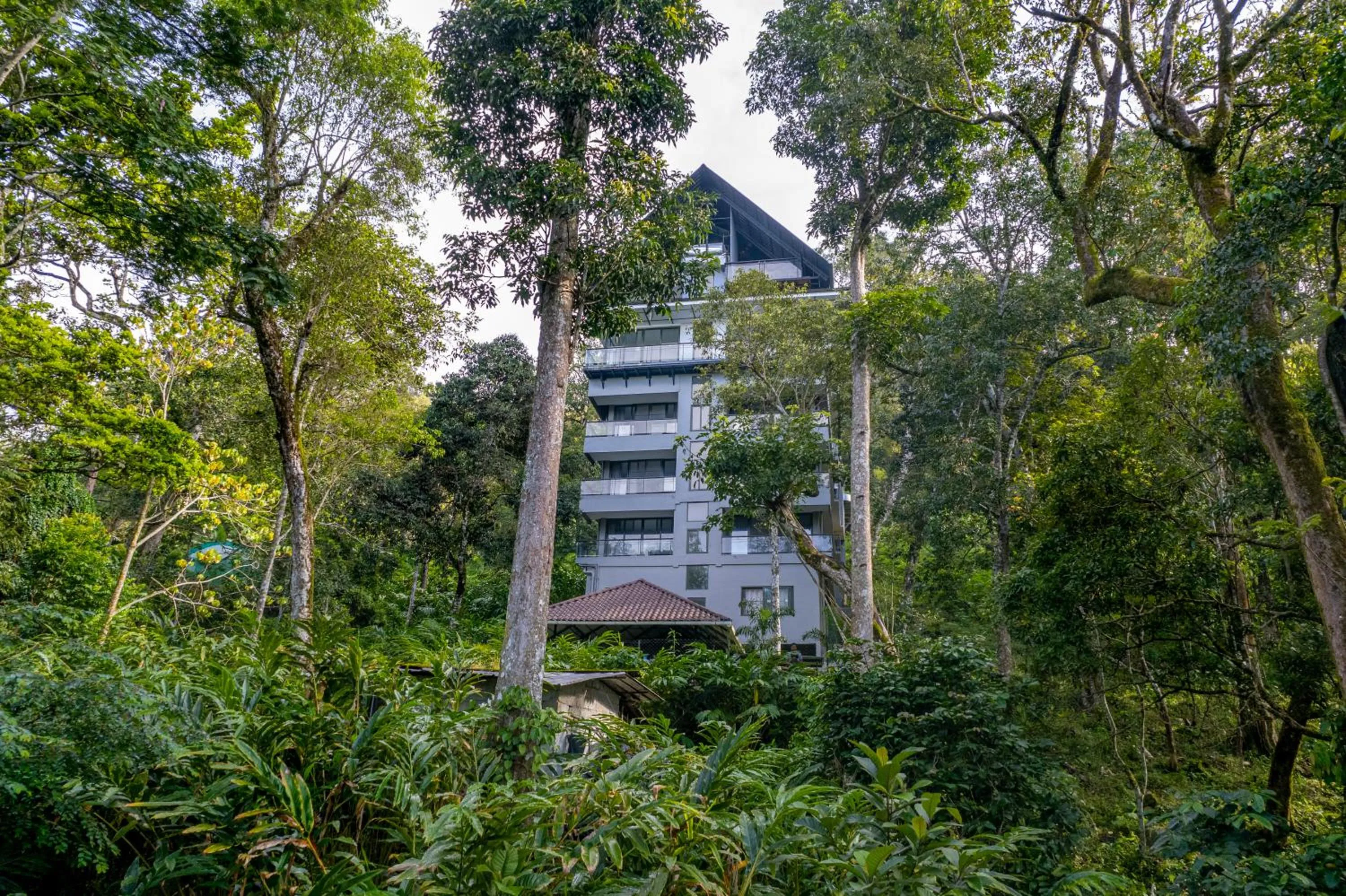 Property building in K Mansion