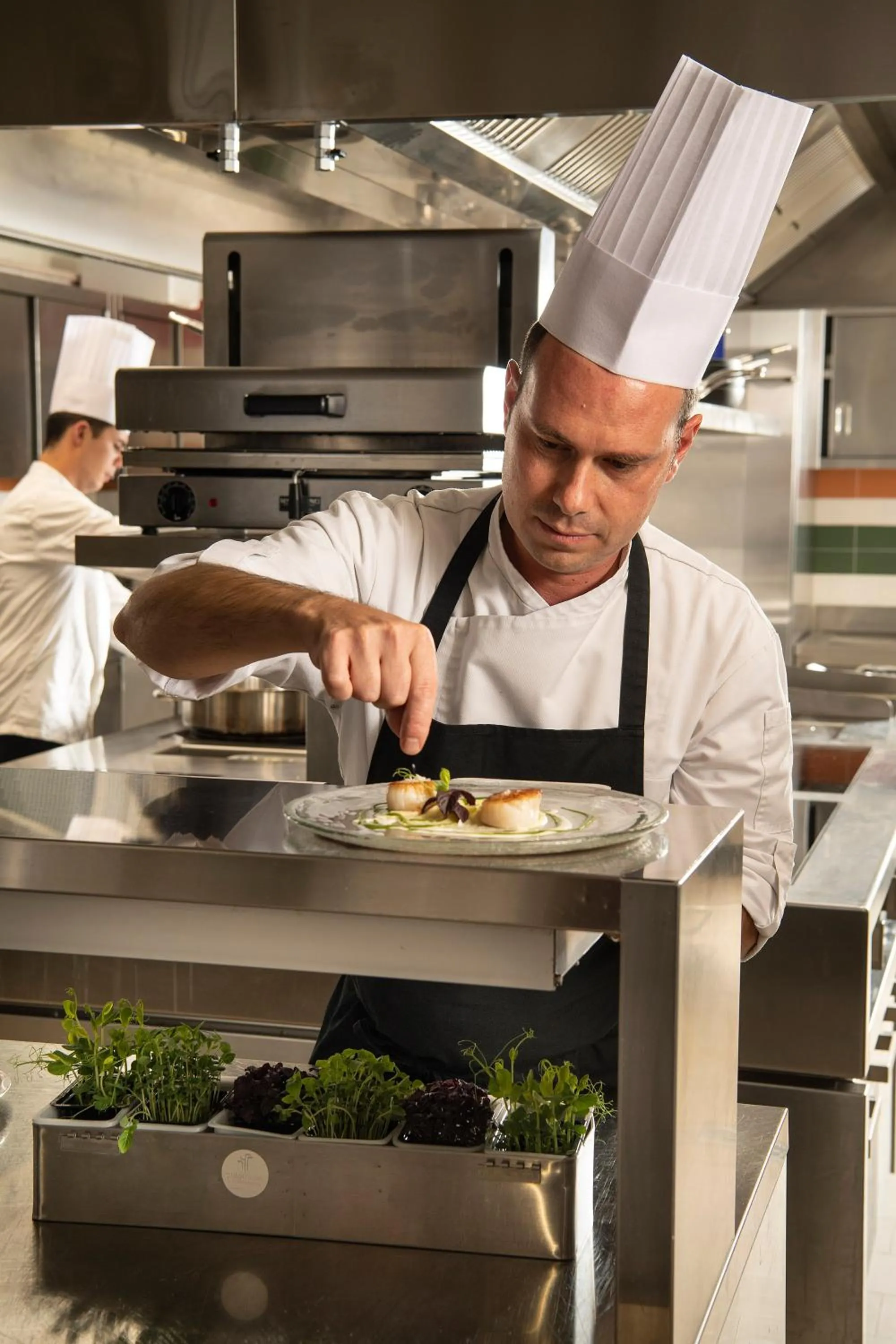 Food and drinks in Color Hotel Style, Design & Gourmet