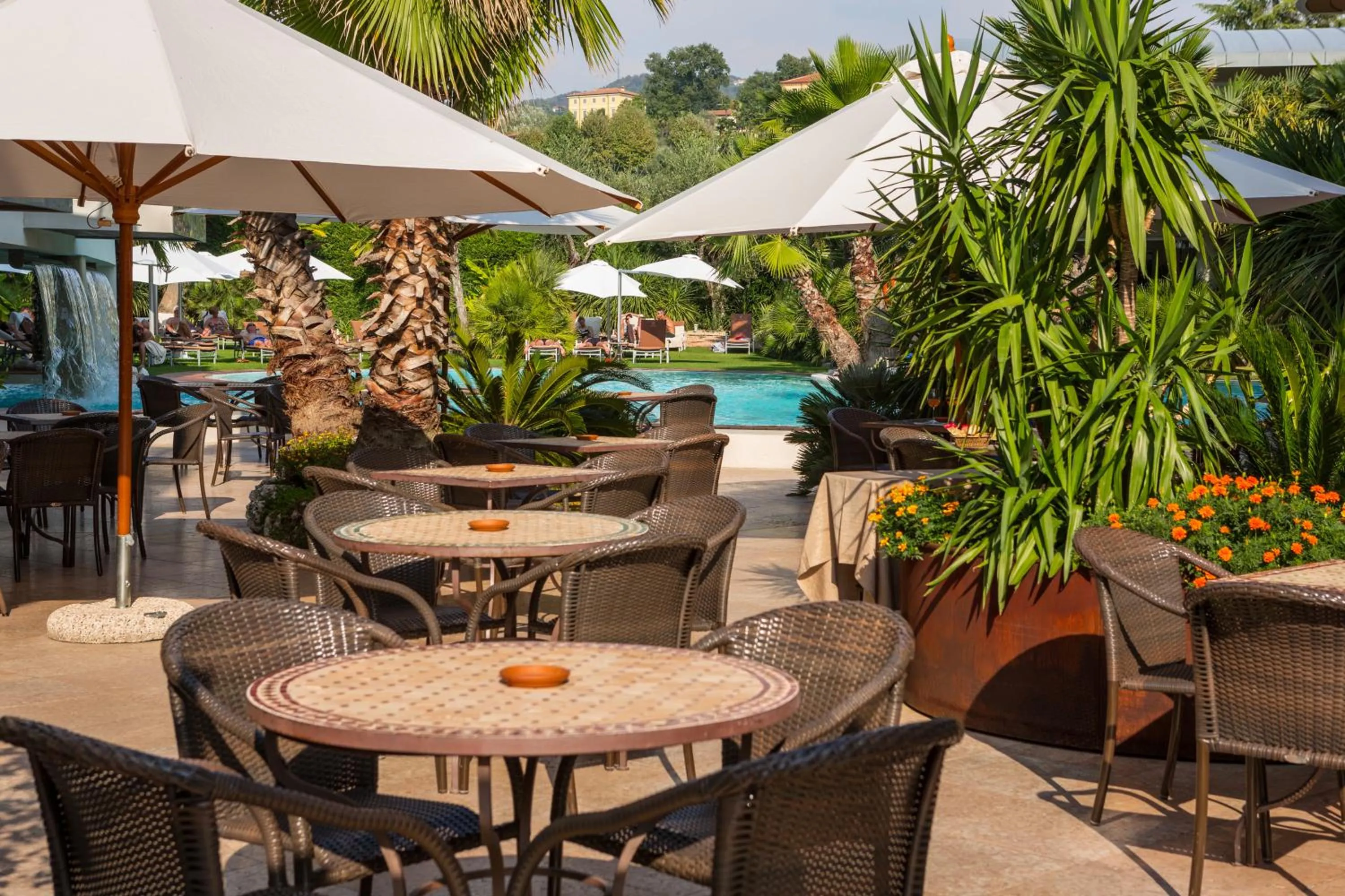 Restaurant/places to eat in Color Hotel Style, Design & Gourmet