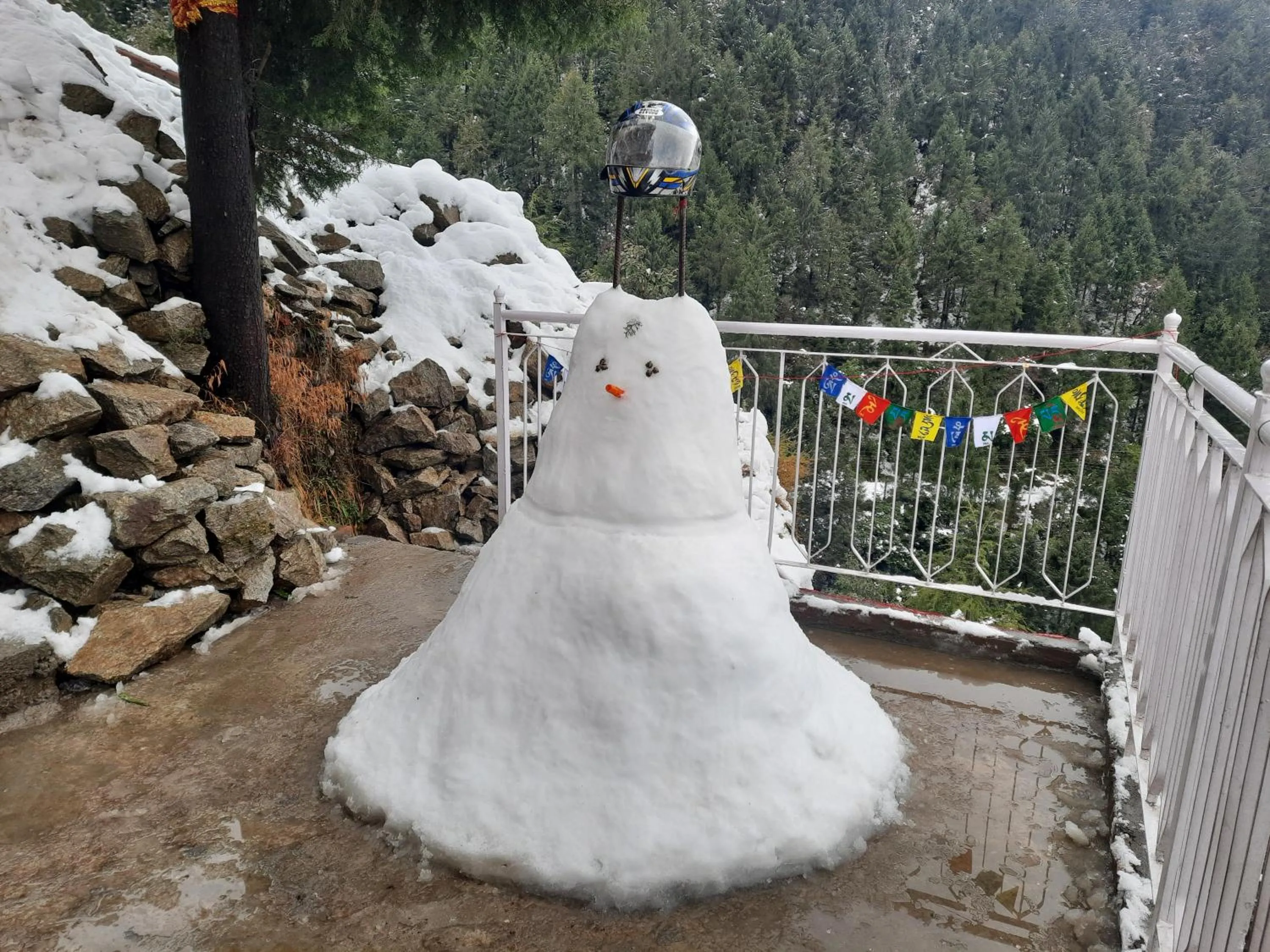 FORTUNE HEIGHTS HOMESTAY- Best Forest view & Peaceful surrounding
