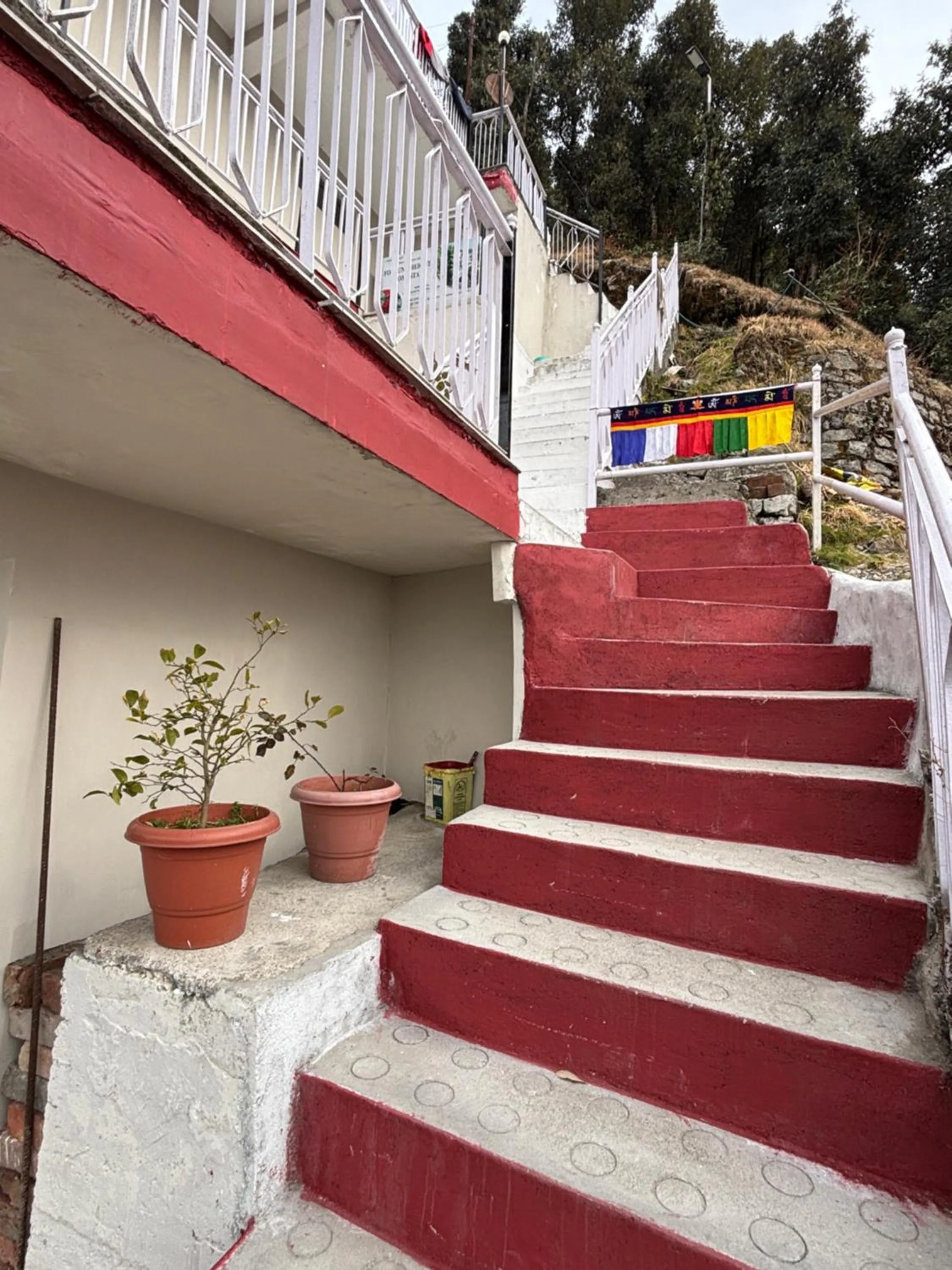 FORTUNE HEIGHTS HOMESTAY- Best Forest view & Peaceful surrounding